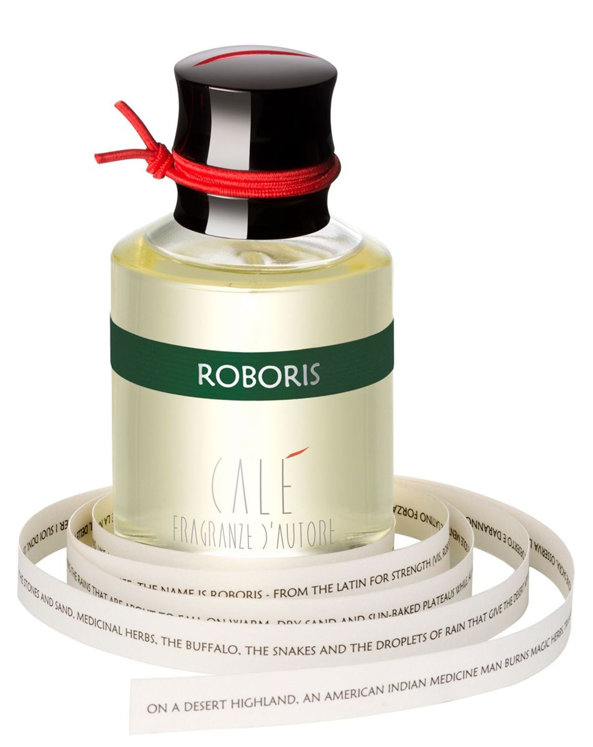 Roboris