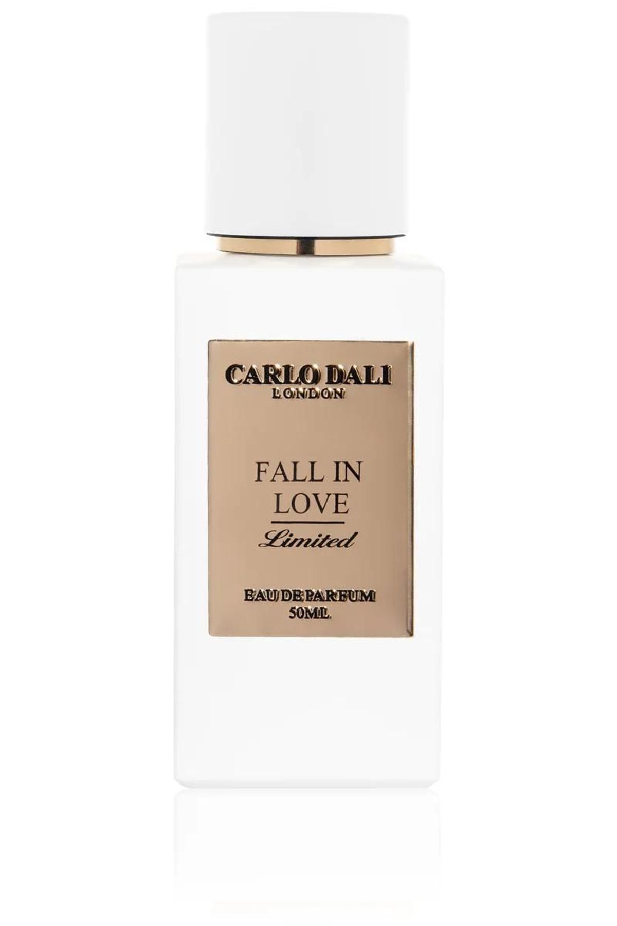 Fall in Love