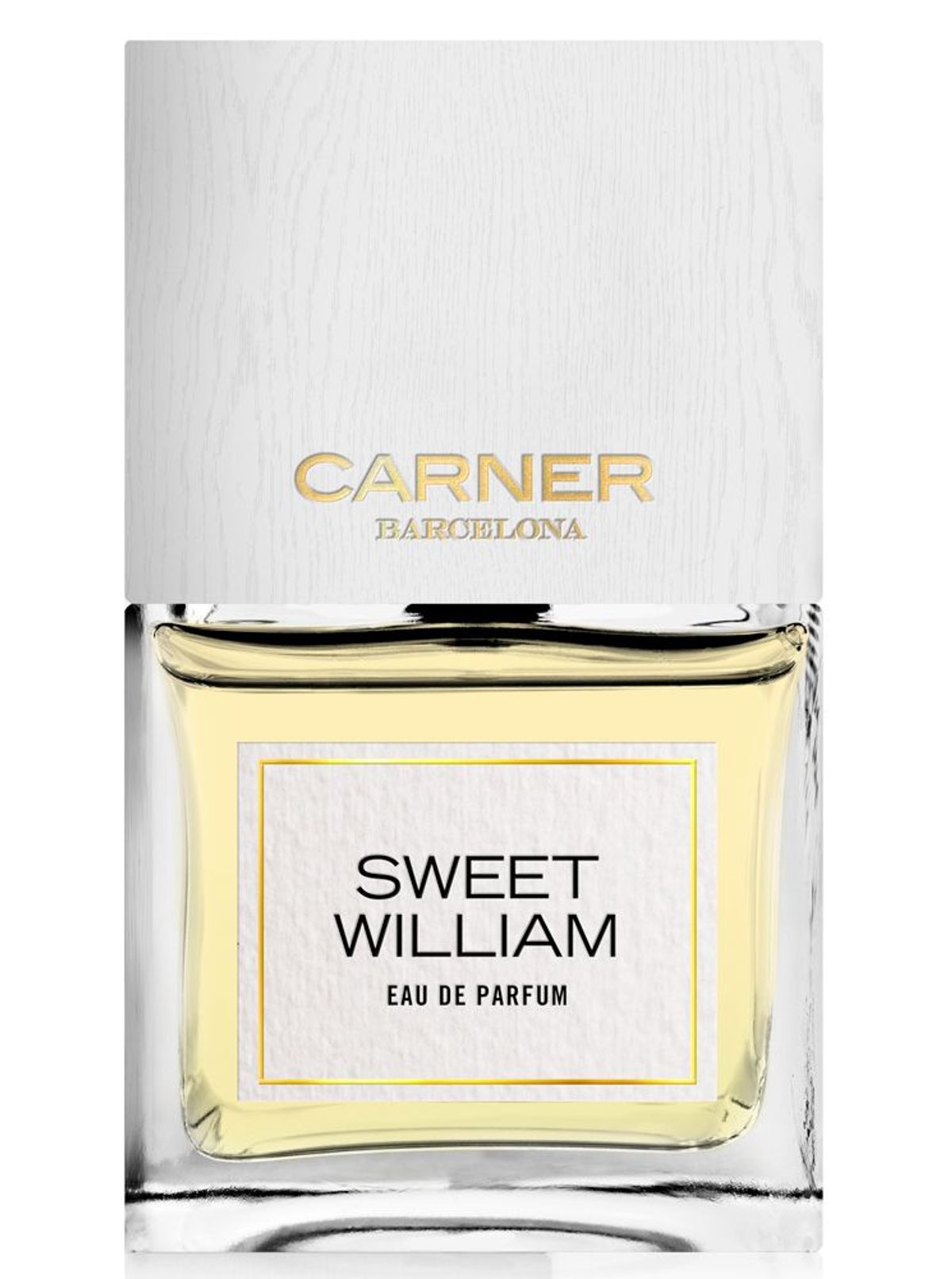 Sweet William