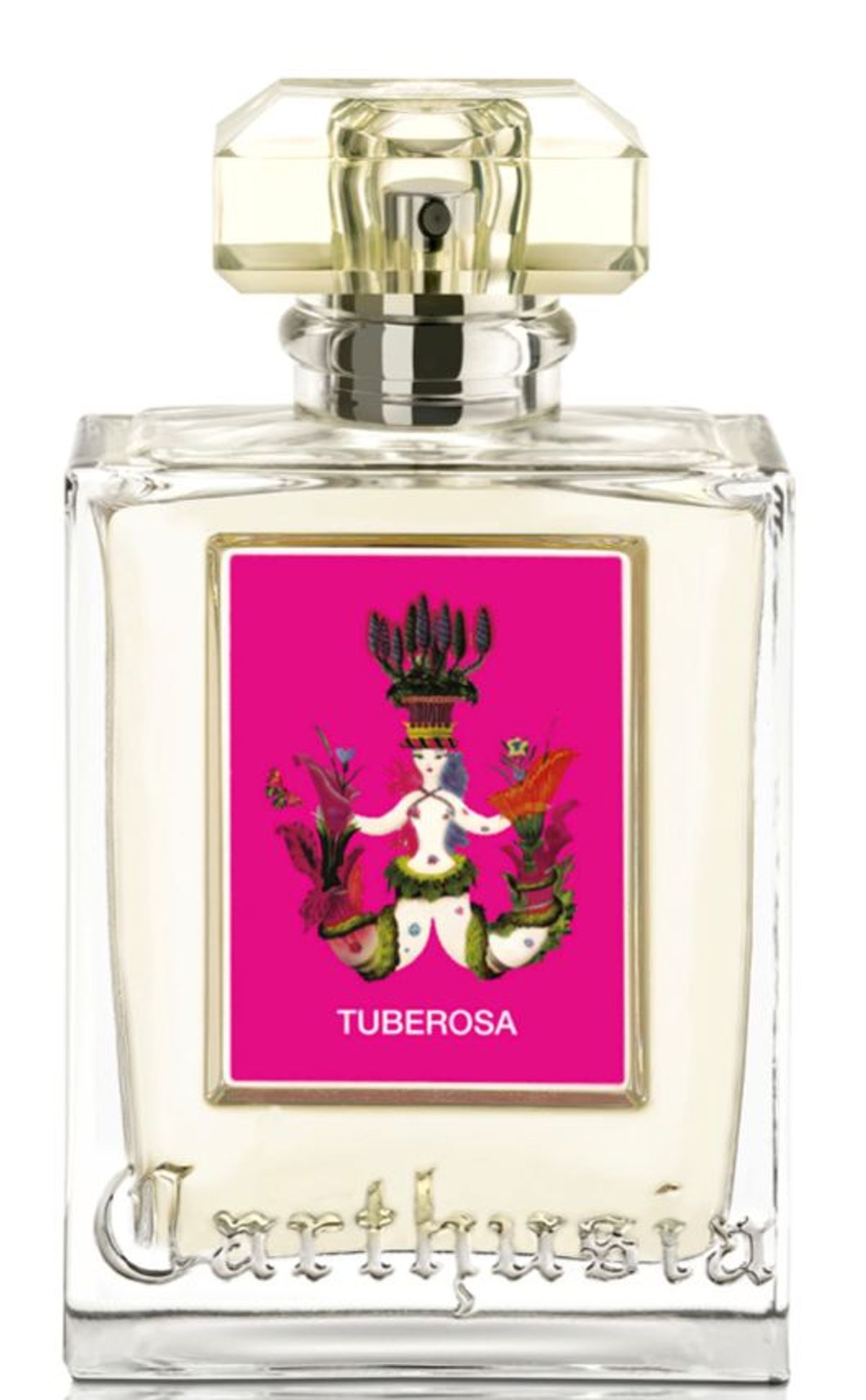 Tuberosa