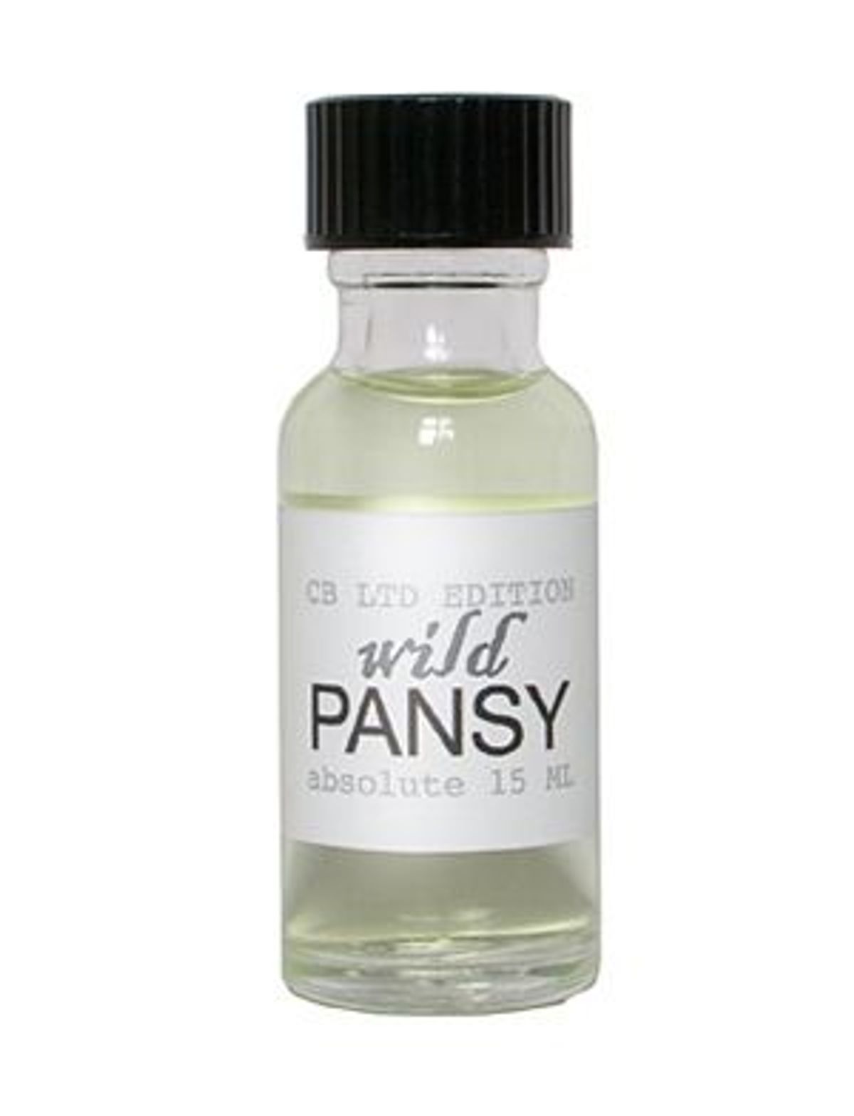 Wild Pansy