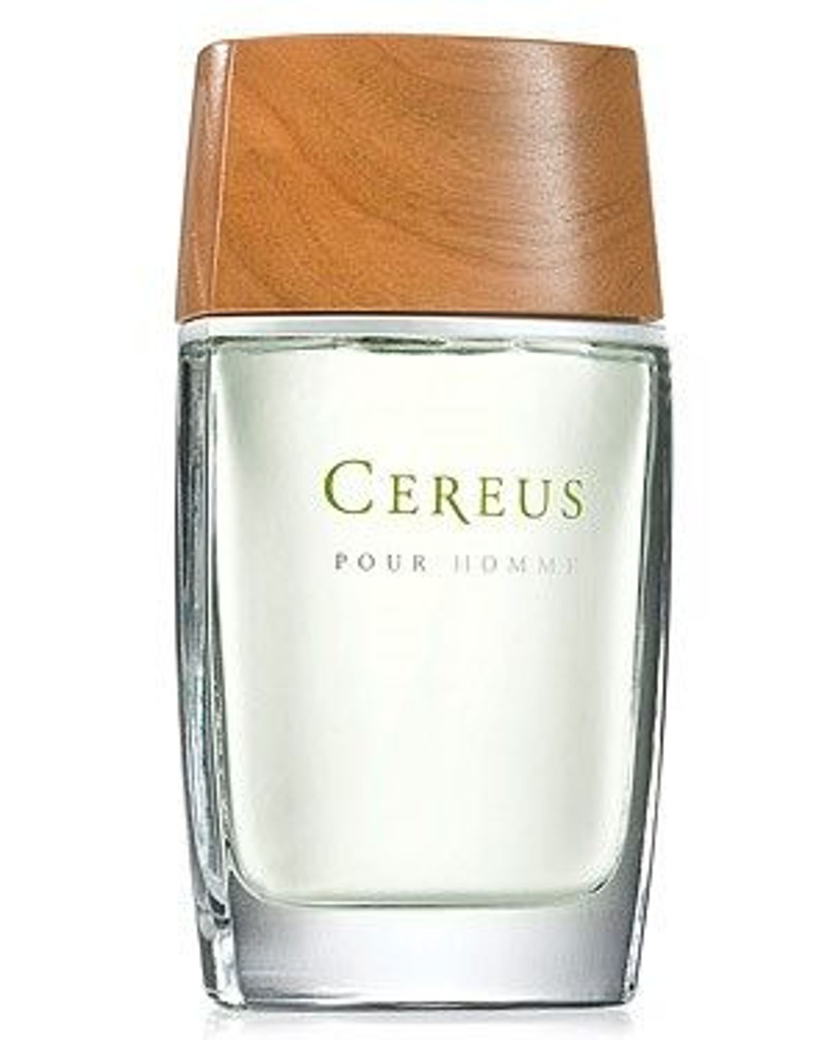 Cereus No. 6