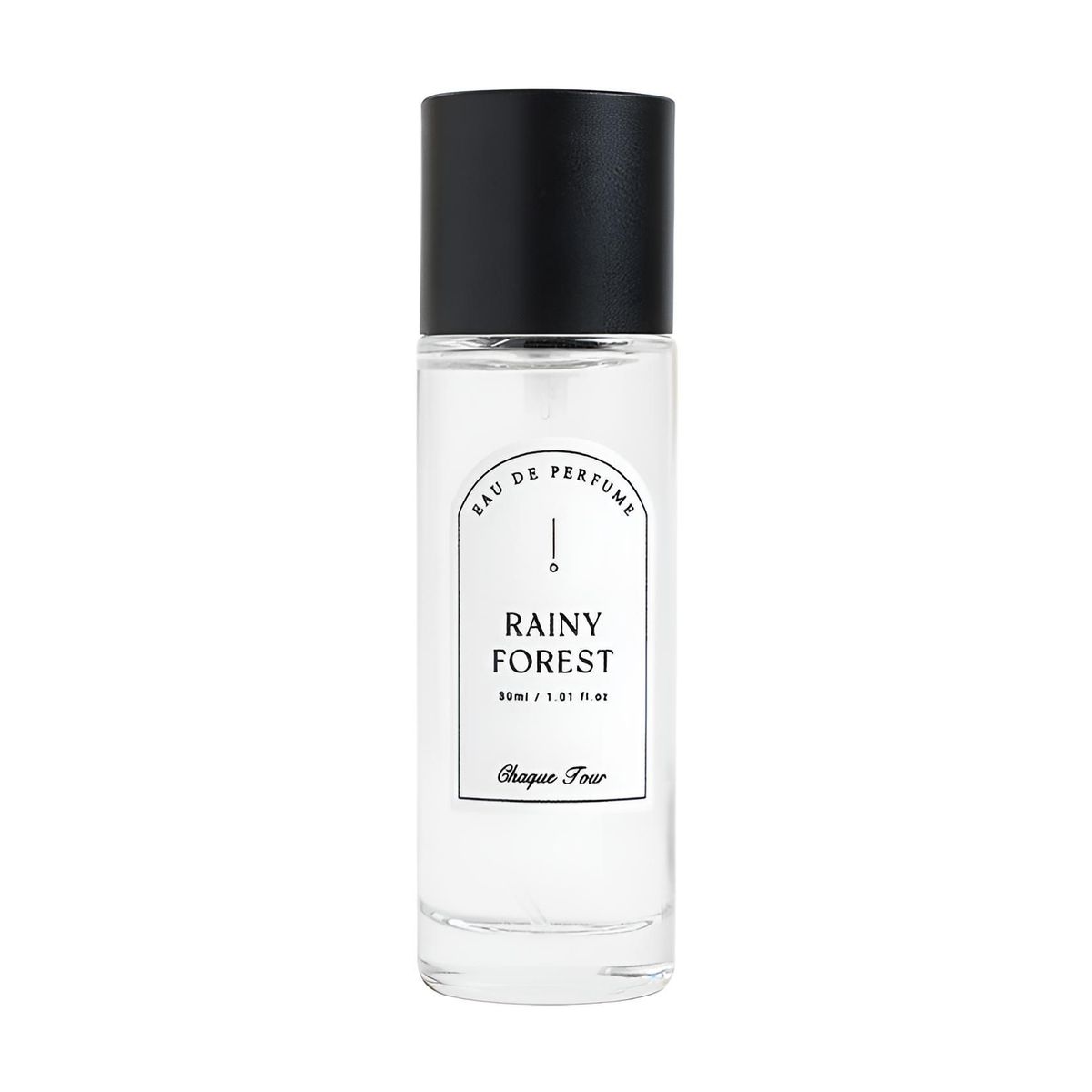 Rainy Forest