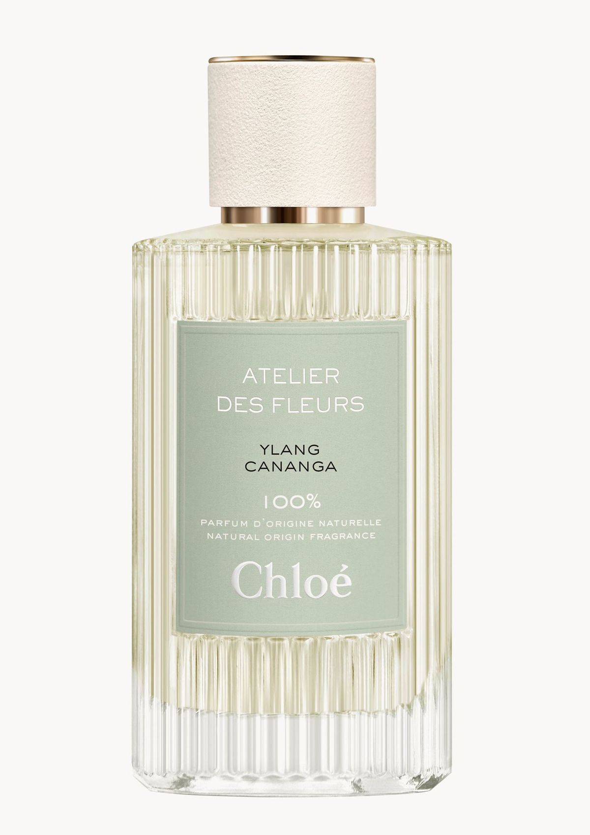 Ylang Cananga