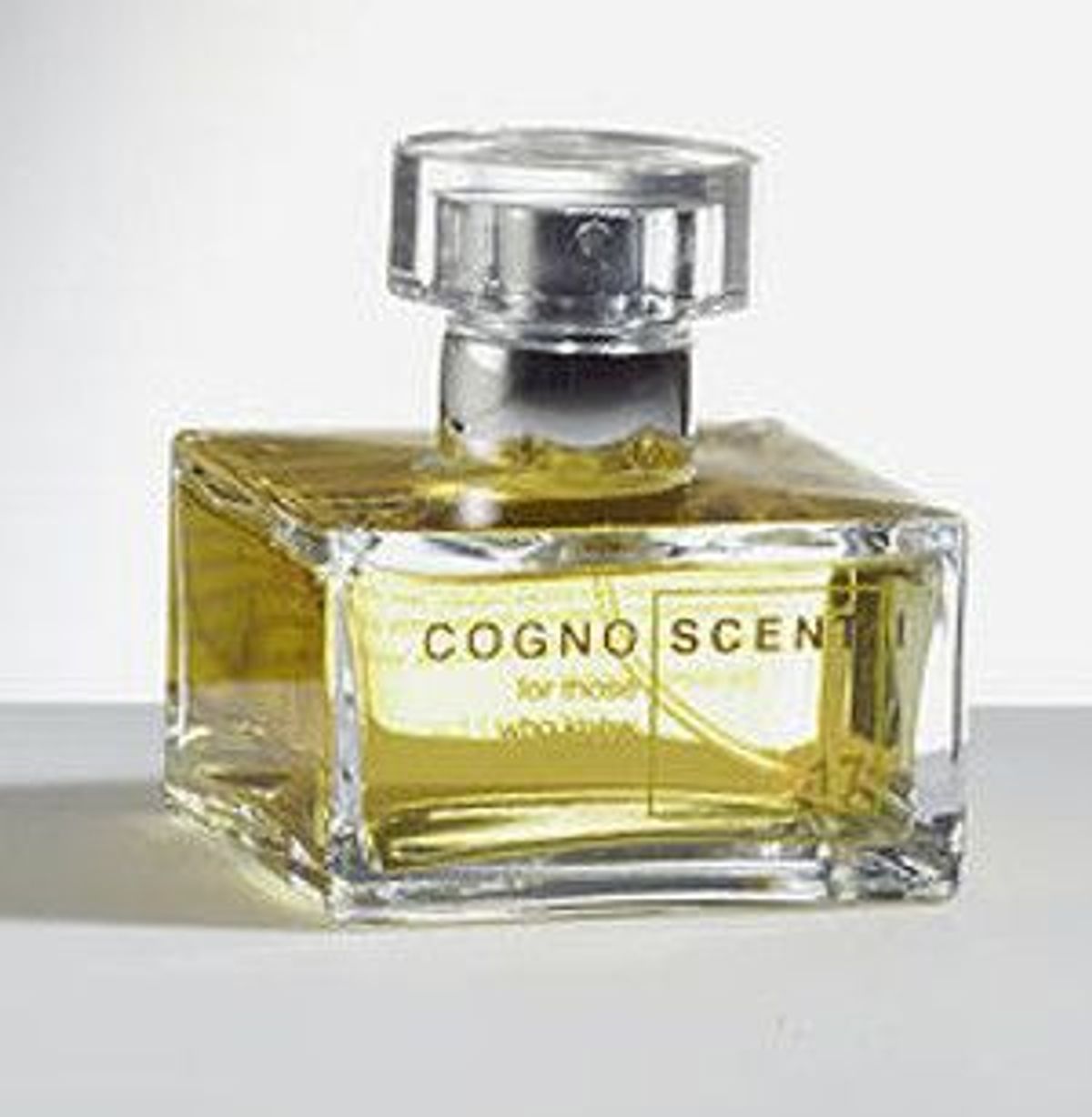 No 17 Civet Chypre