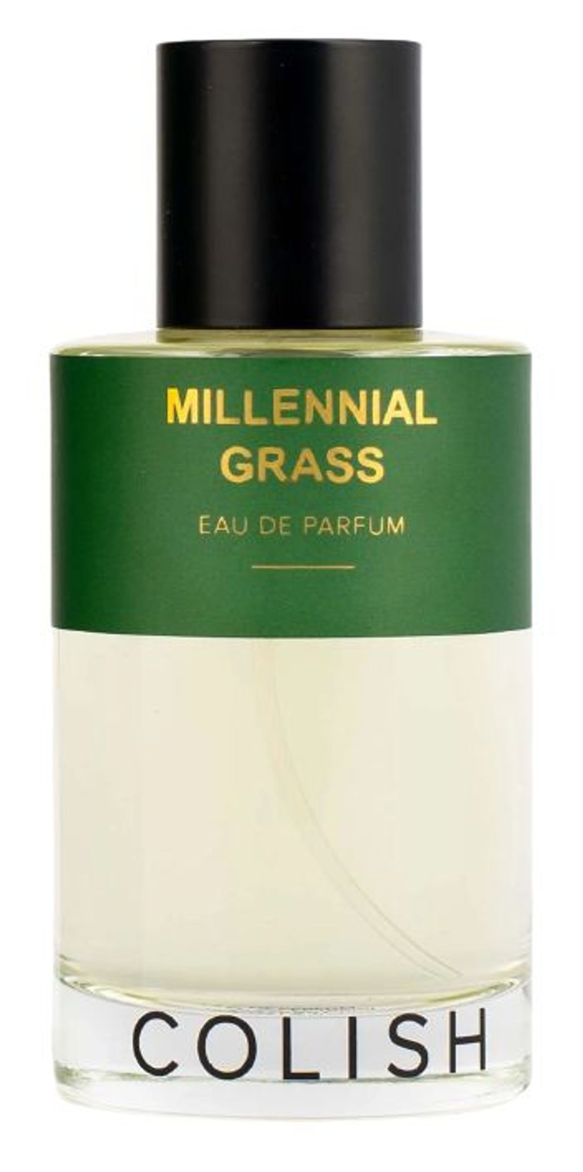Millennial Grass