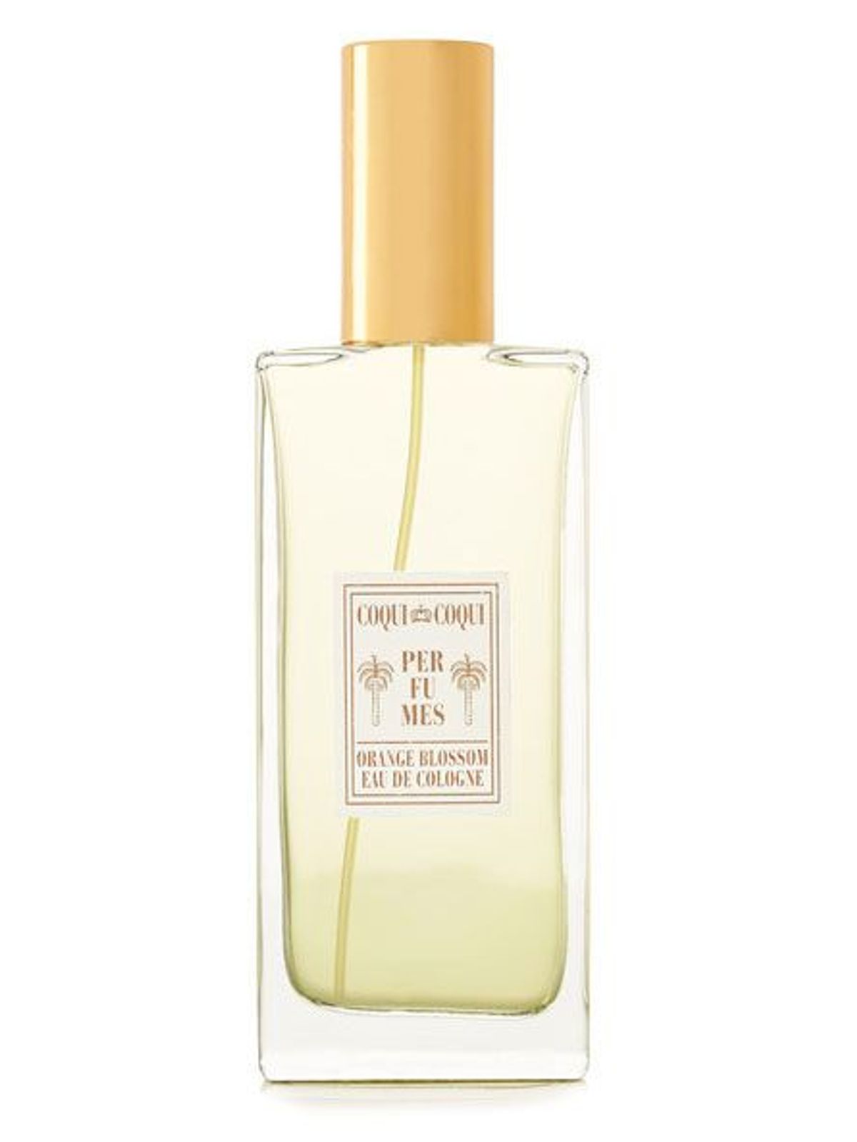 Flor de Naranjo