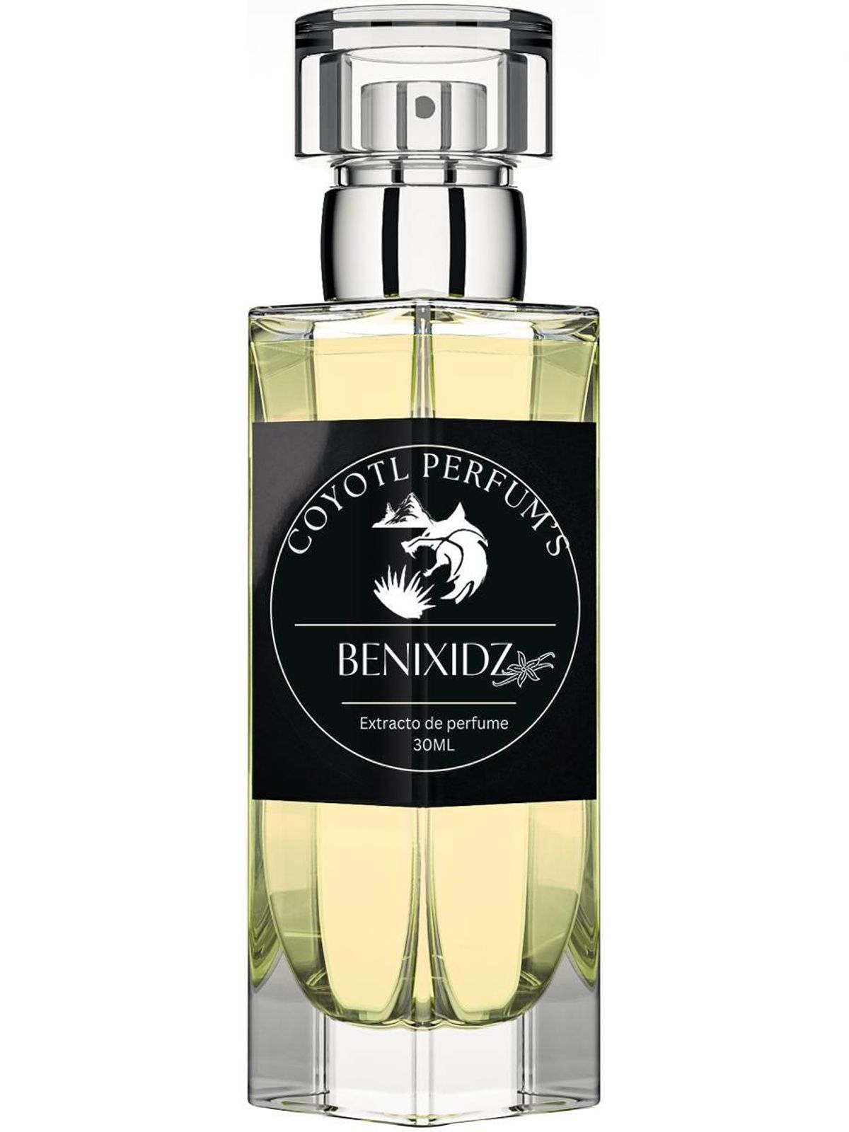 Benixidz