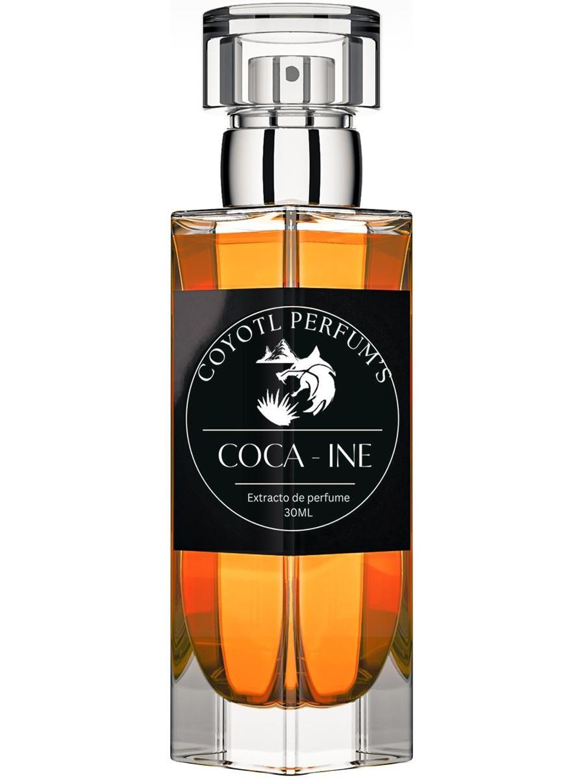Coca-Ine