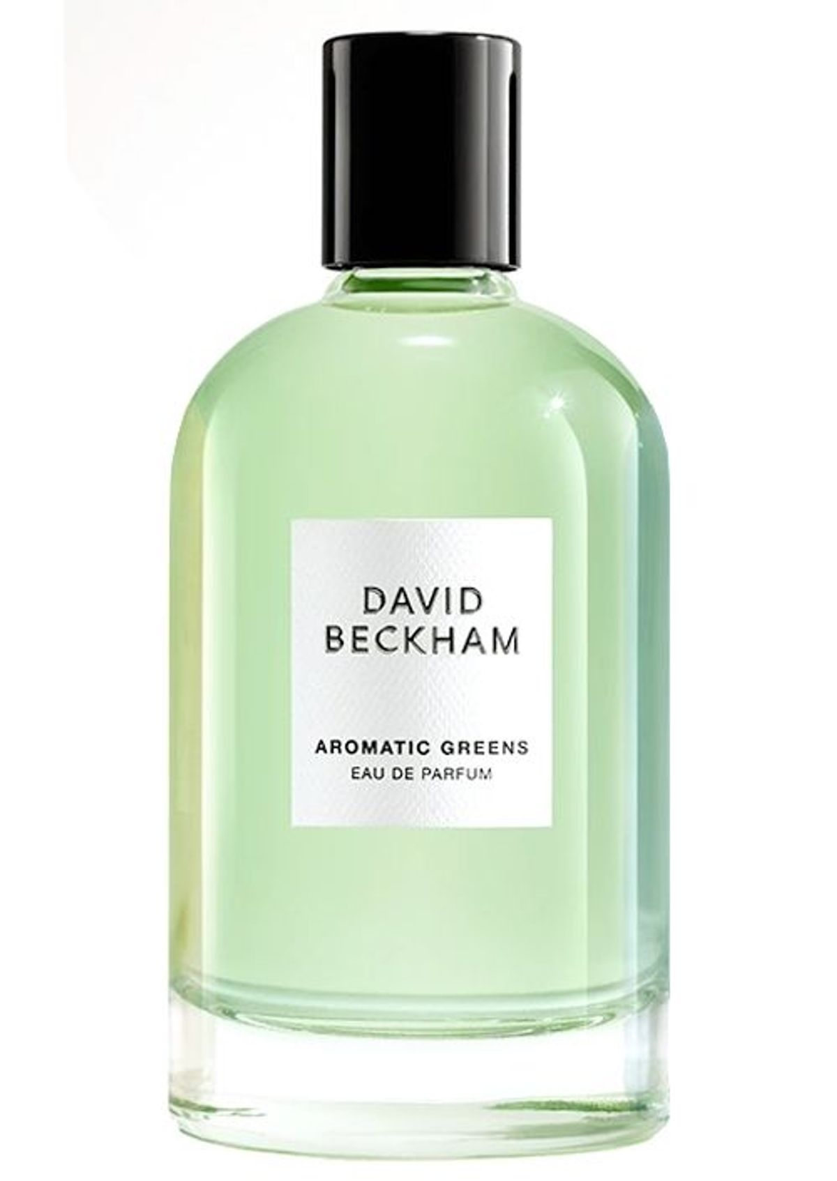 Aromatic Greens