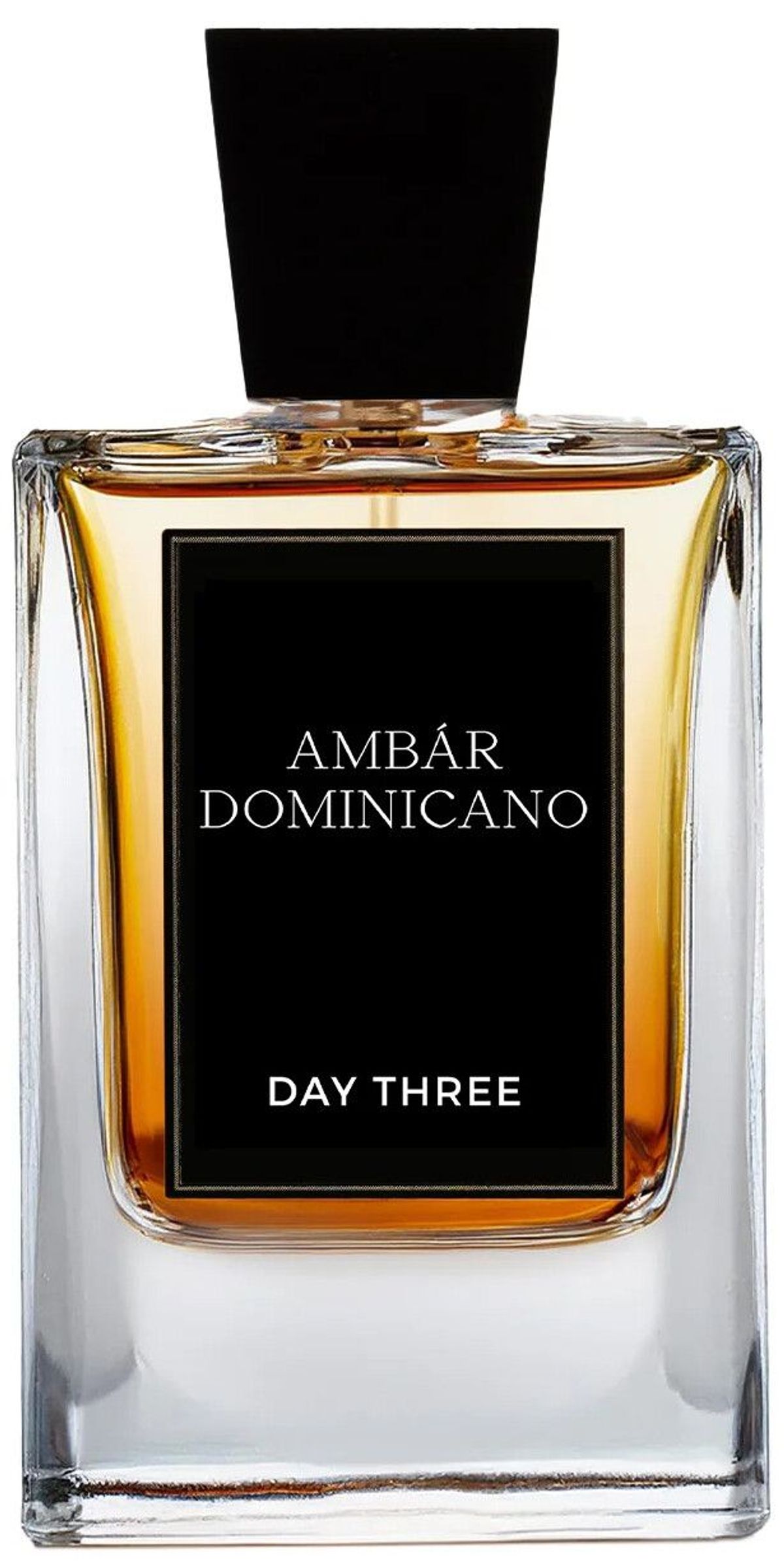 Ámbar Dominicano