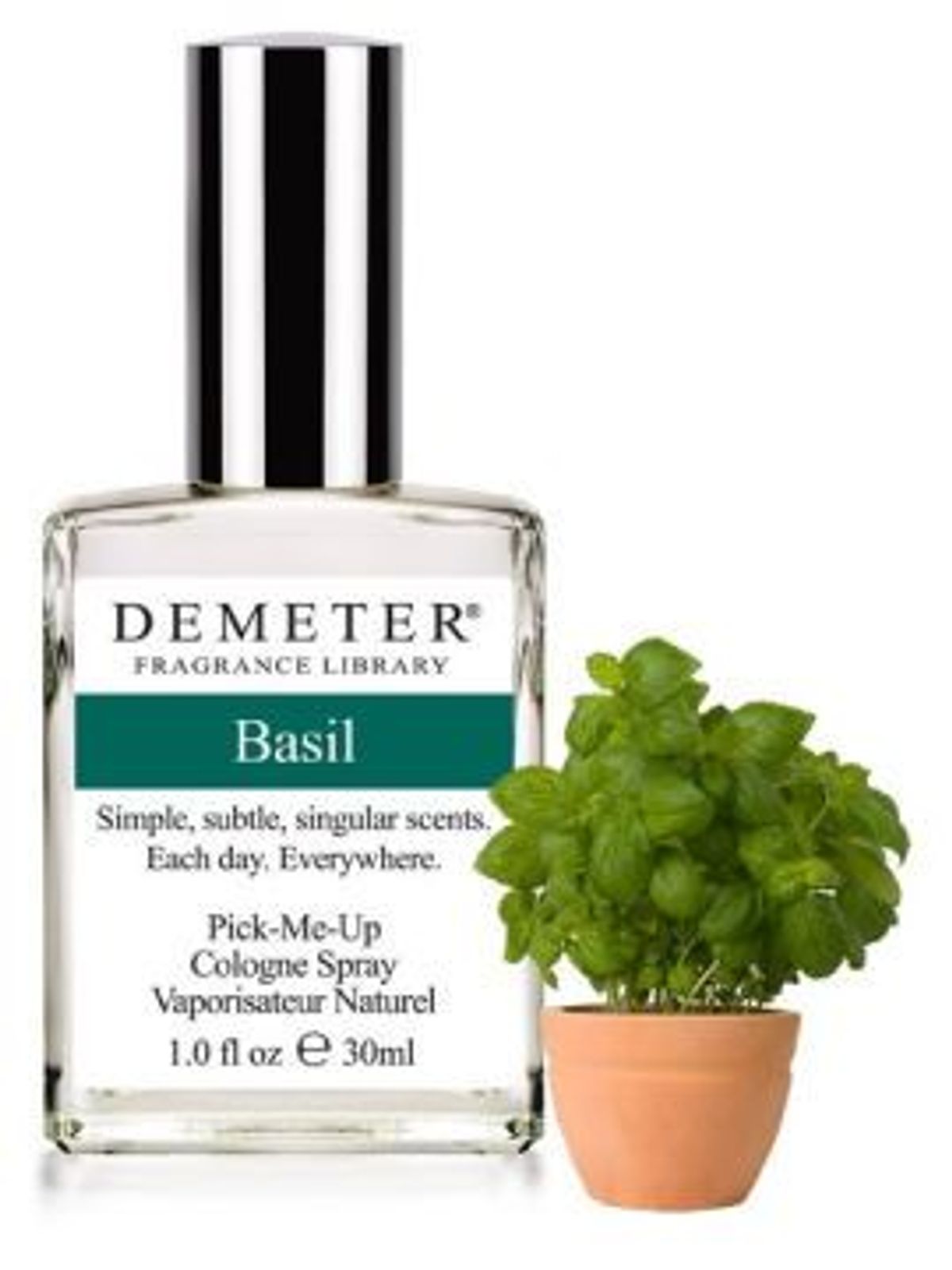 Basil
