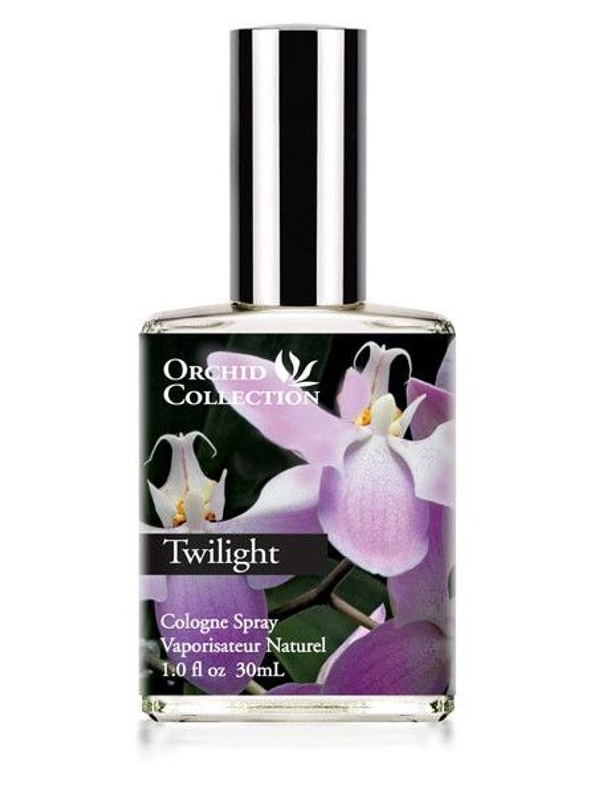 Twilight Orchid