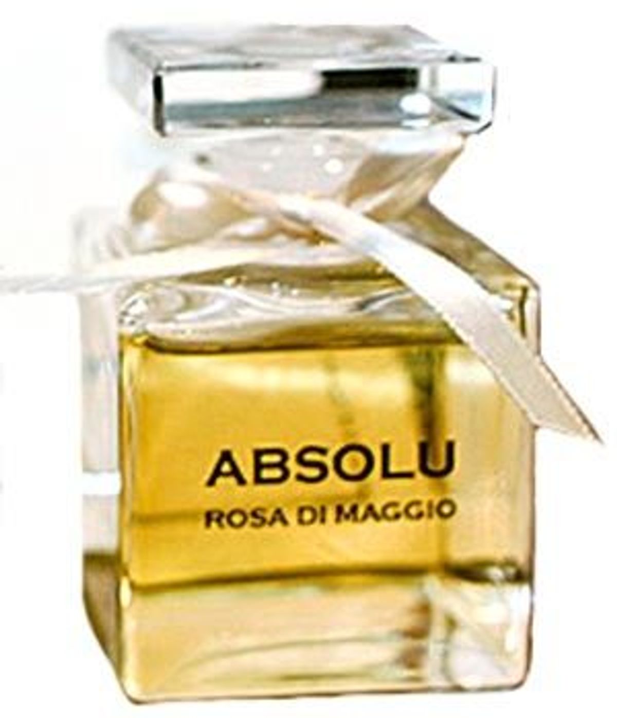 Absolu Rosa Di Maggio