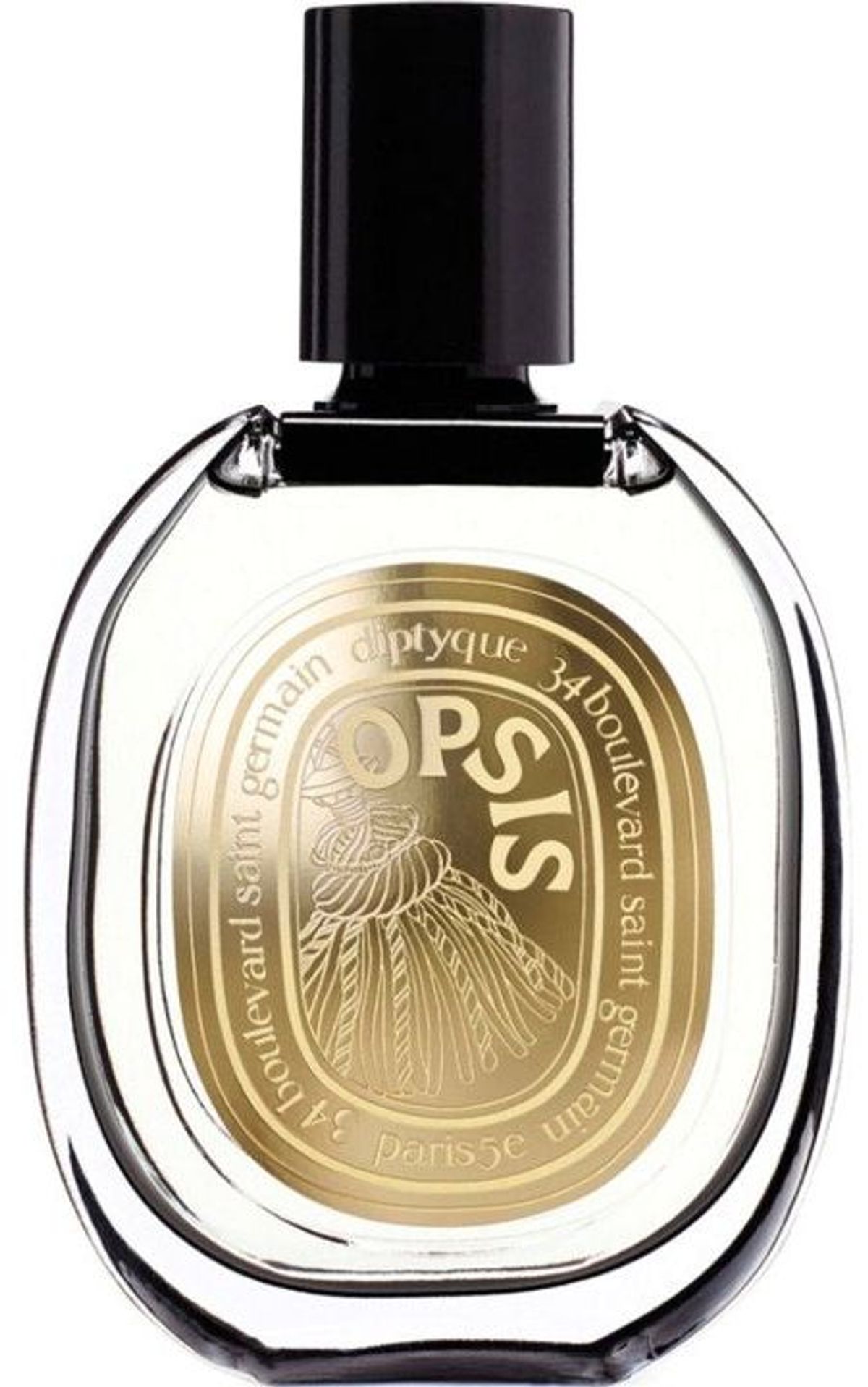 Opsis