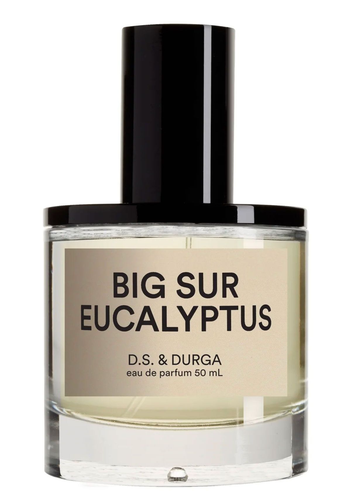 Big Sur Eucalyptus