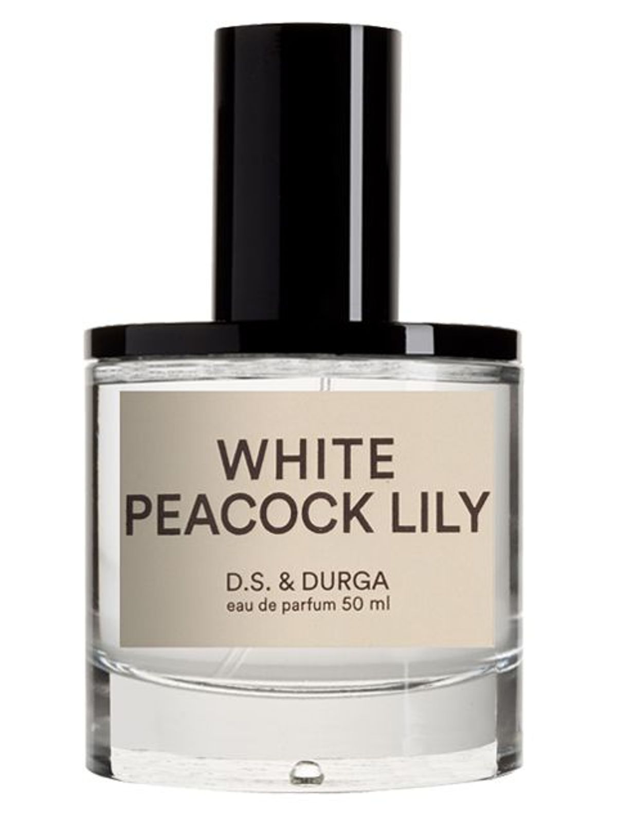 White Peacock Lily