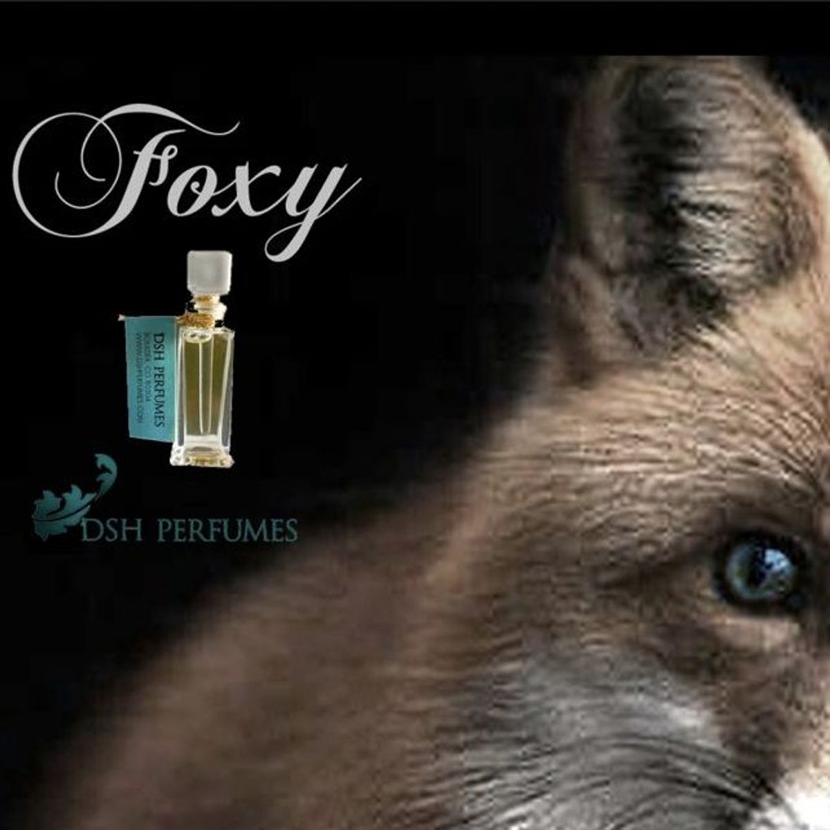 Foxy