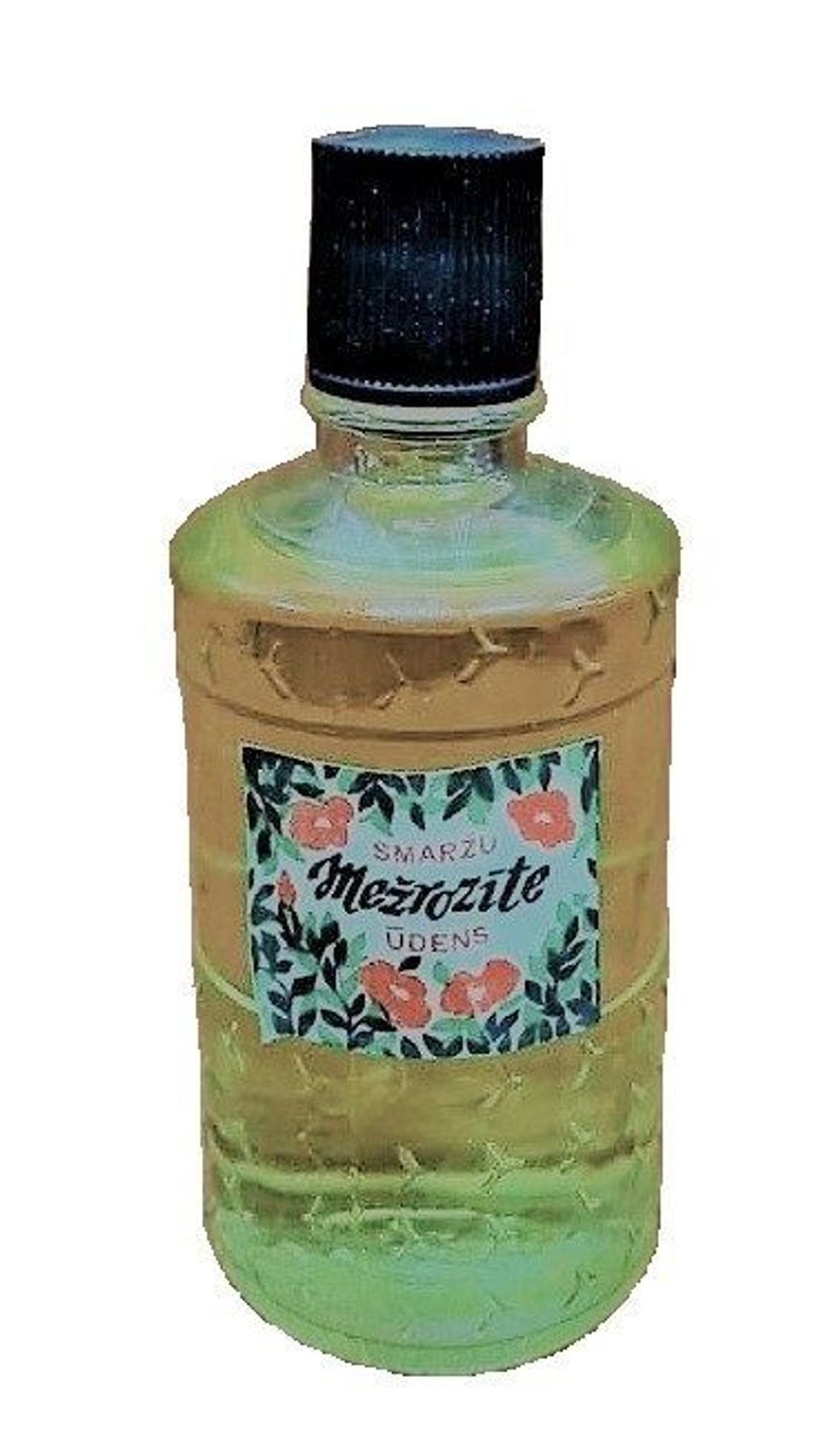 Mežrozīte (Шиповник)