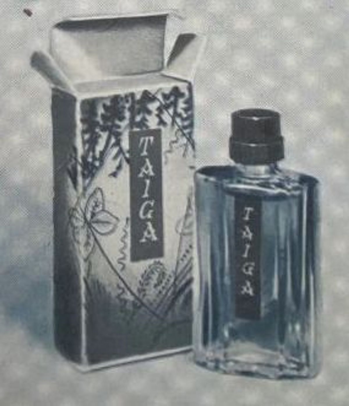 Taiga