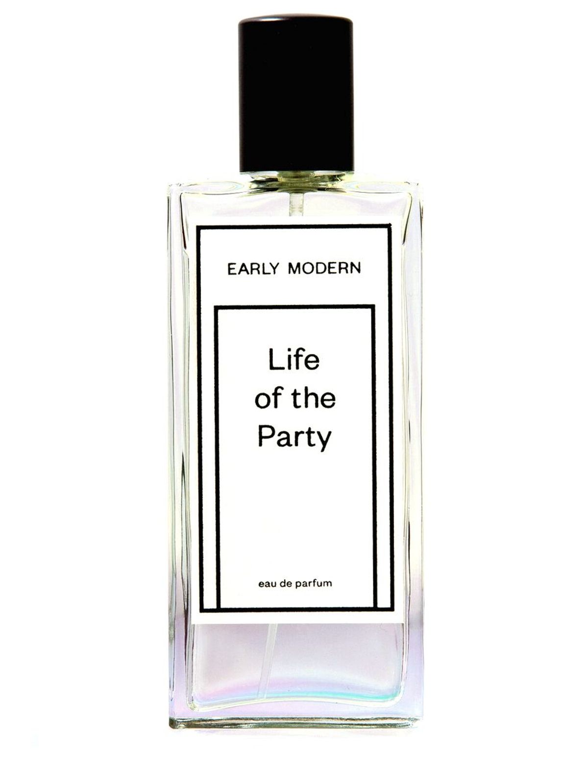 Life Of The Party
