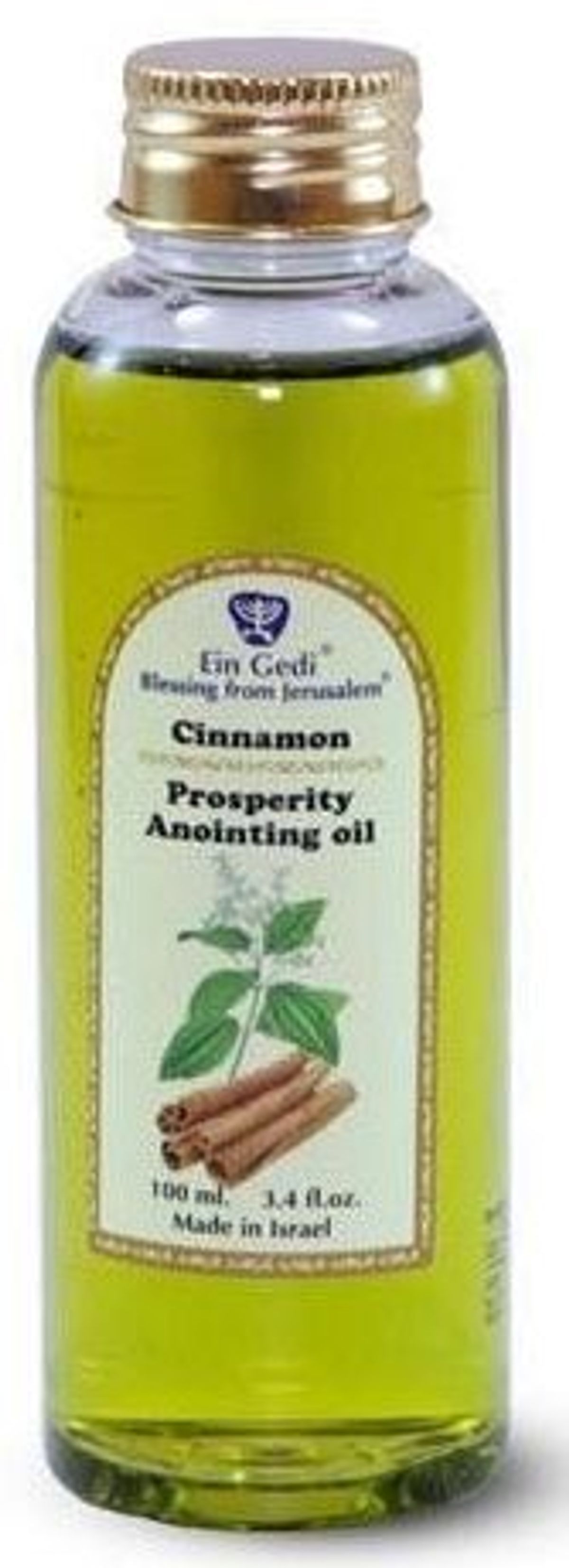 Cinnamon Anointing Oil