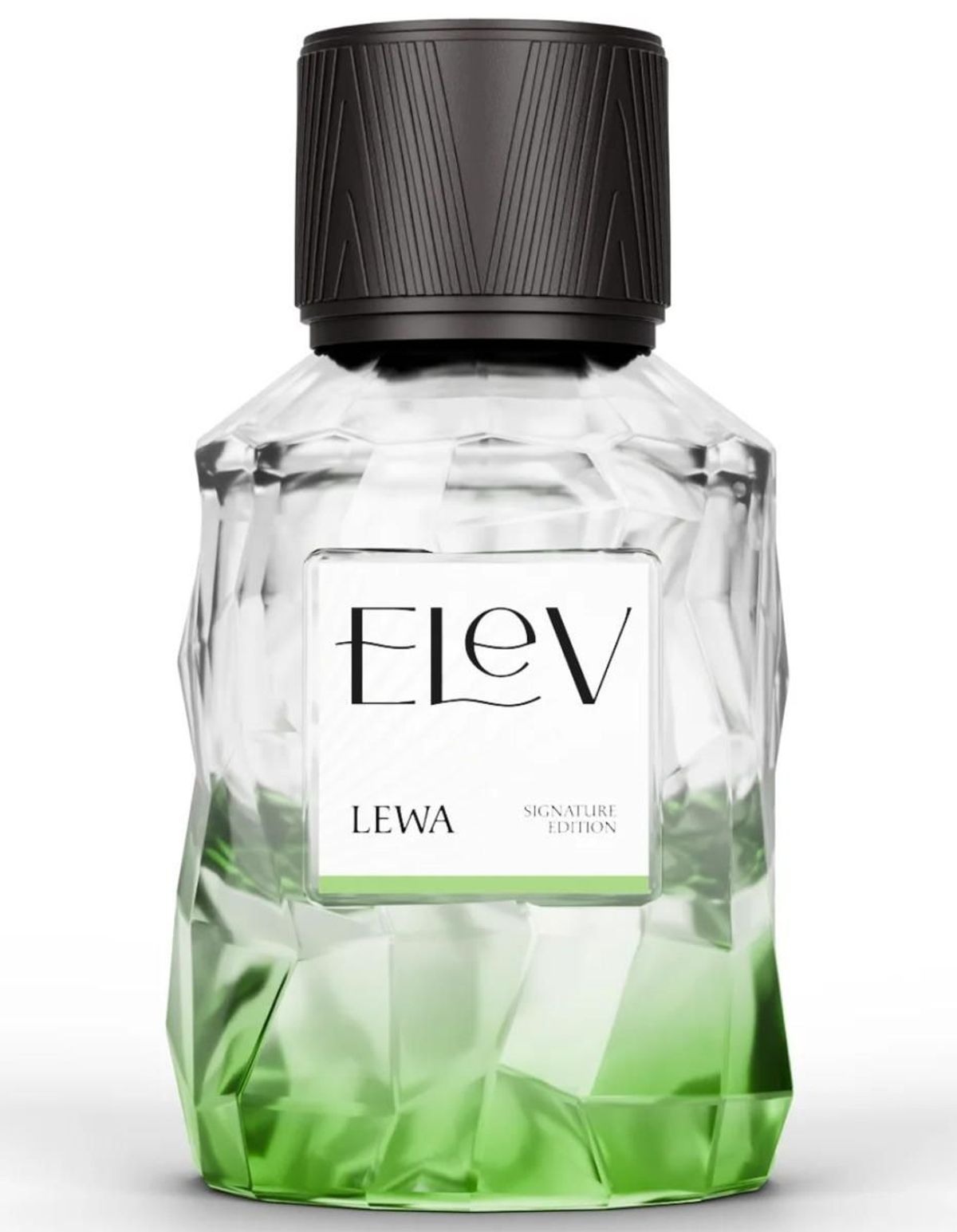 Lewa