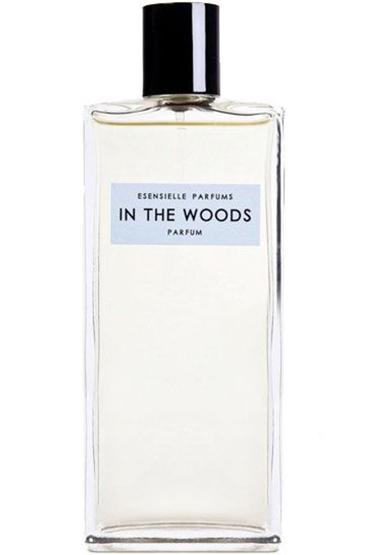 In the Woods