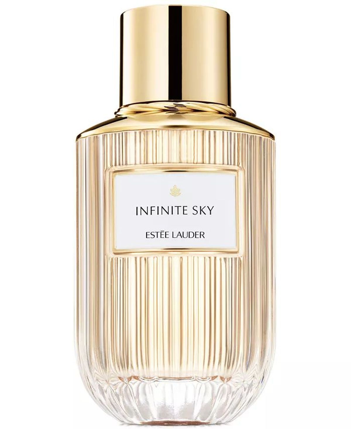 Infinite Sky
