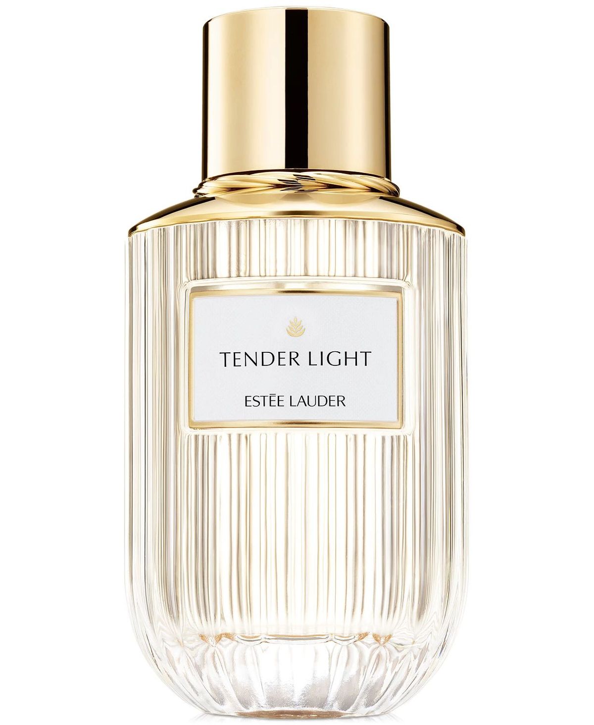Tender Light