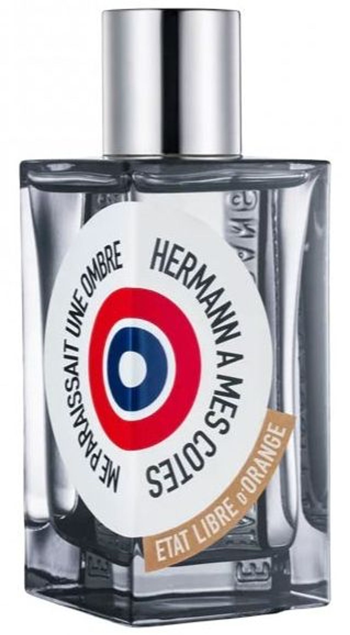 Hermann à mes Côtés me Paraissait une Ombre