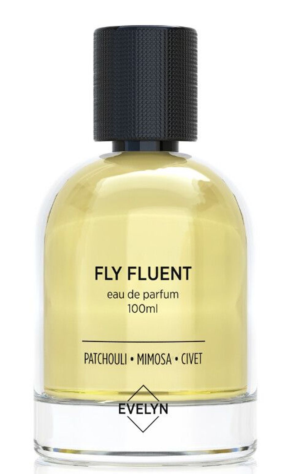 Fly Fluent