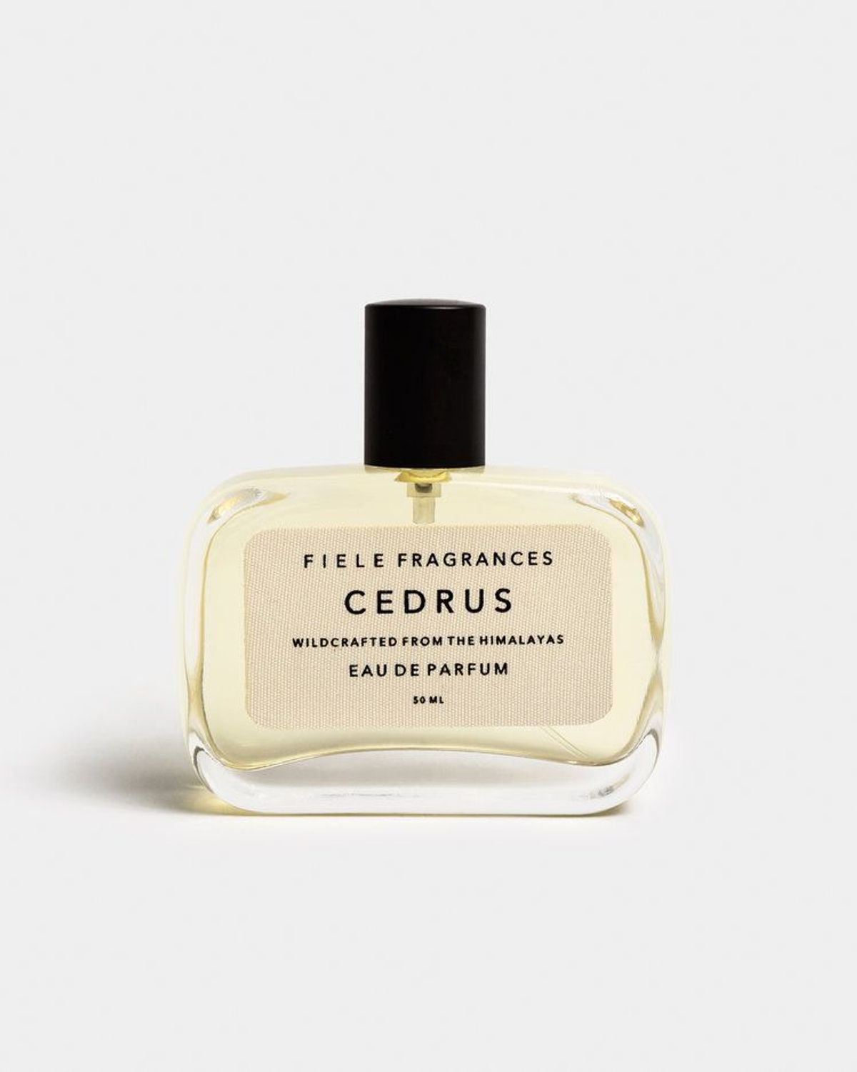 Cedrus