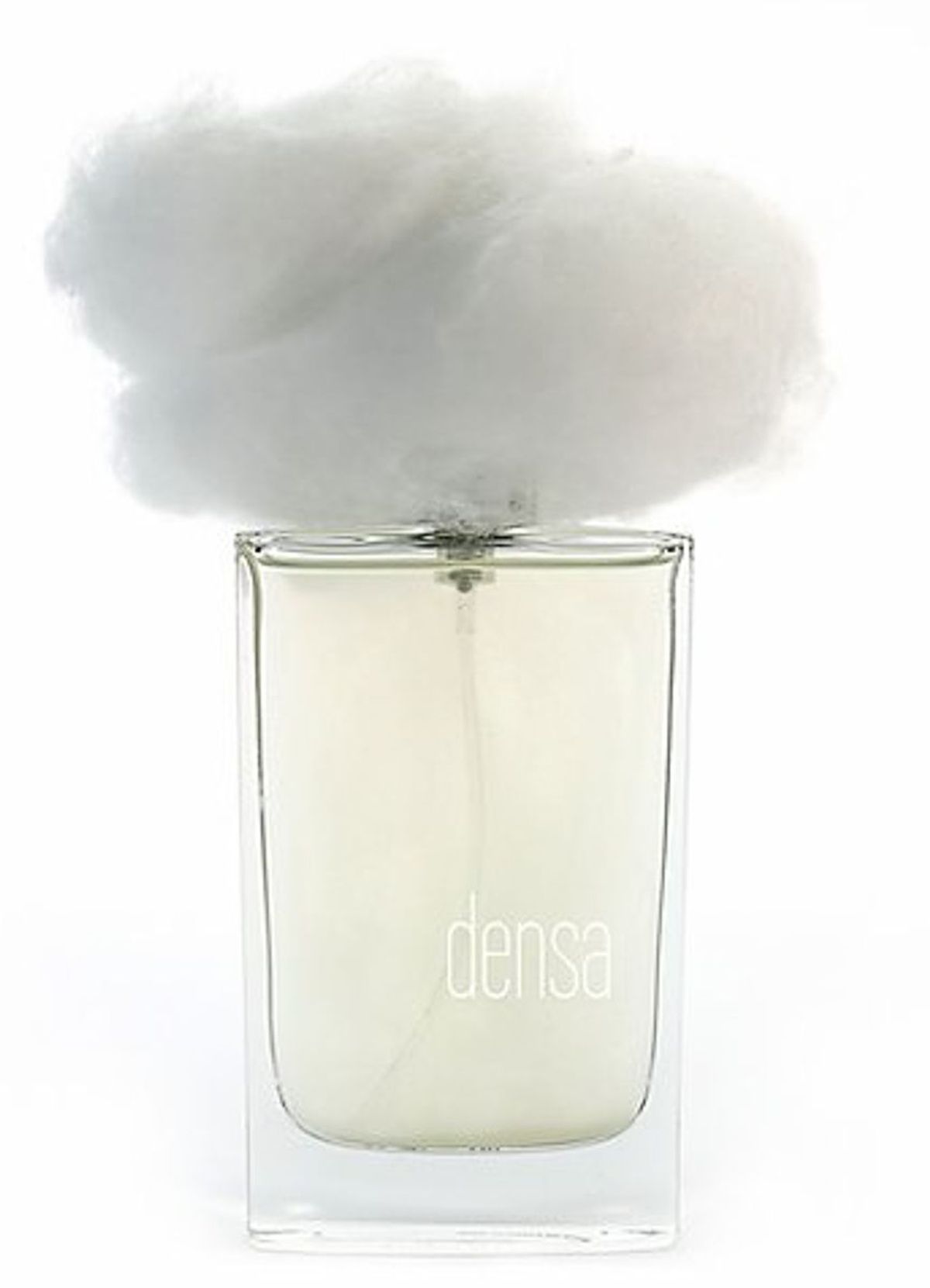 Nebbia Densa