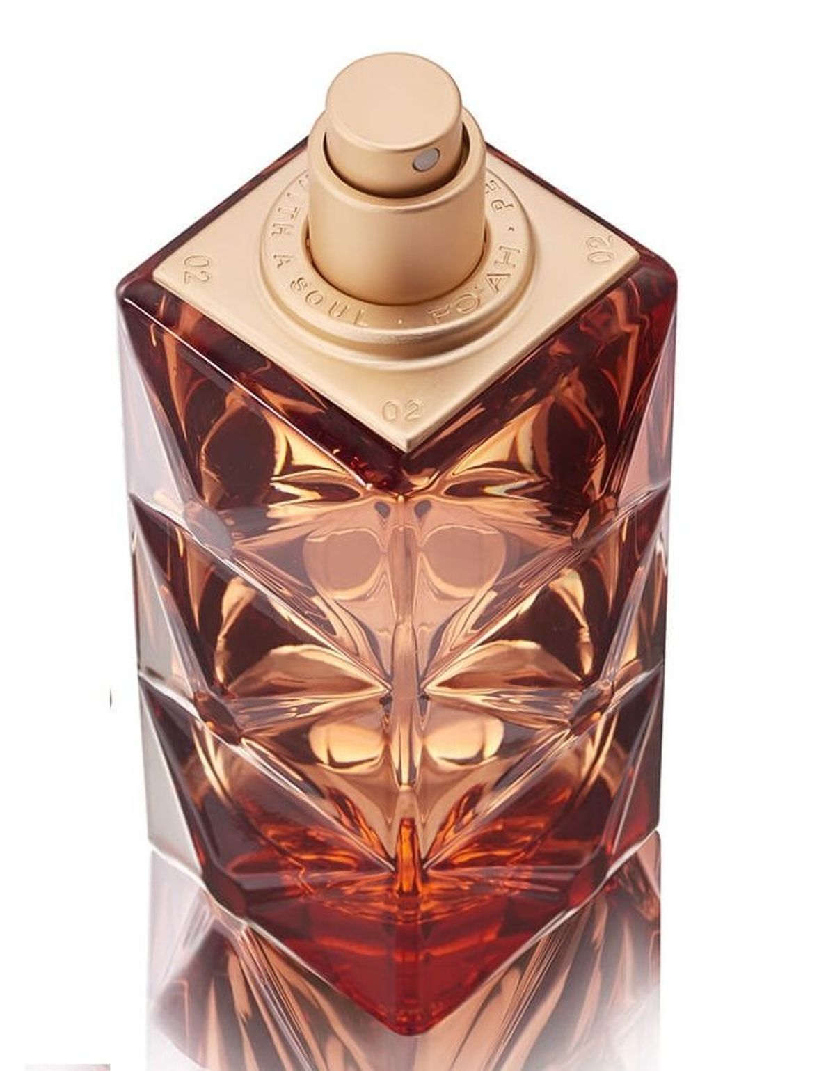 Mémoires d'une Palmeraie 11