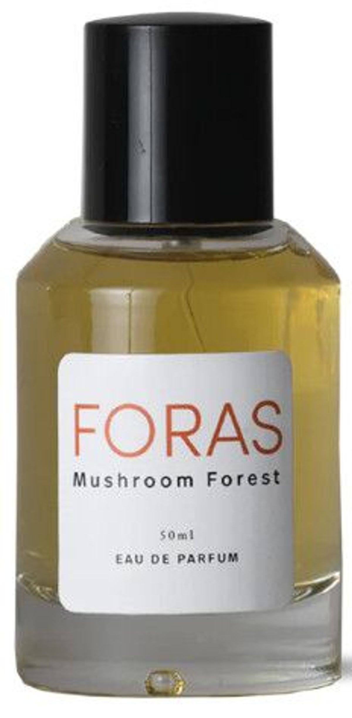 Mushroom Forest