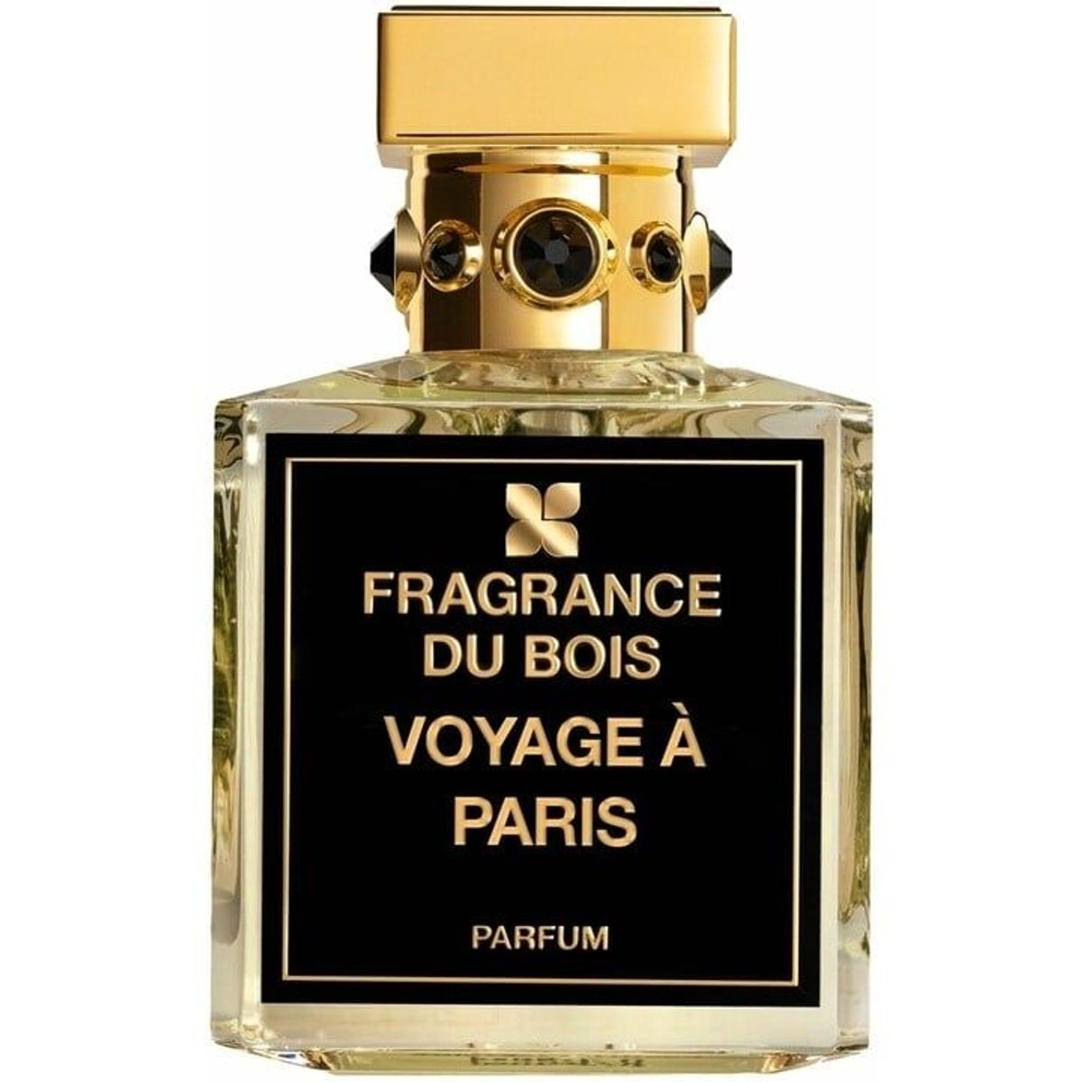 Voyage à Paris
