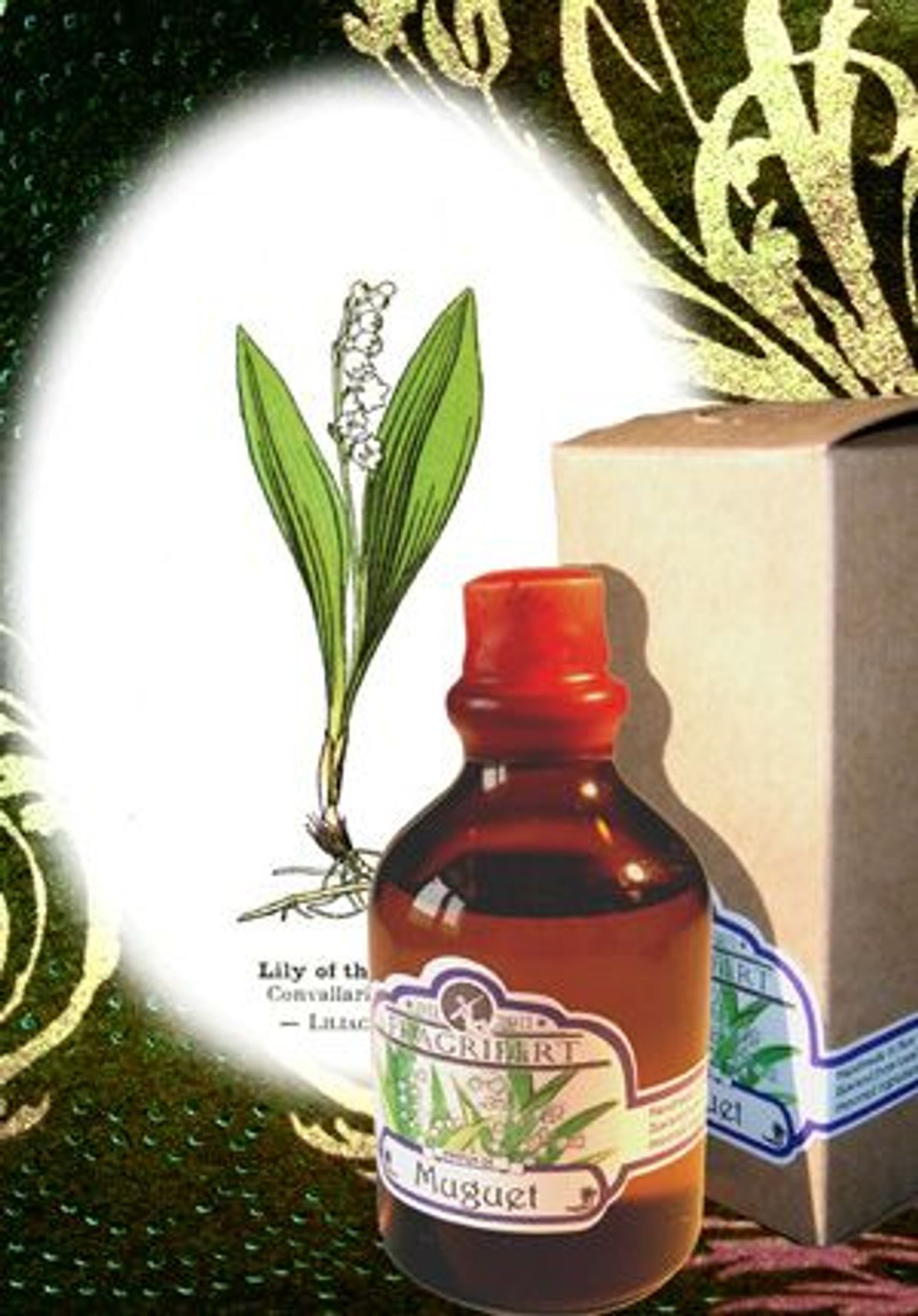 Muguet