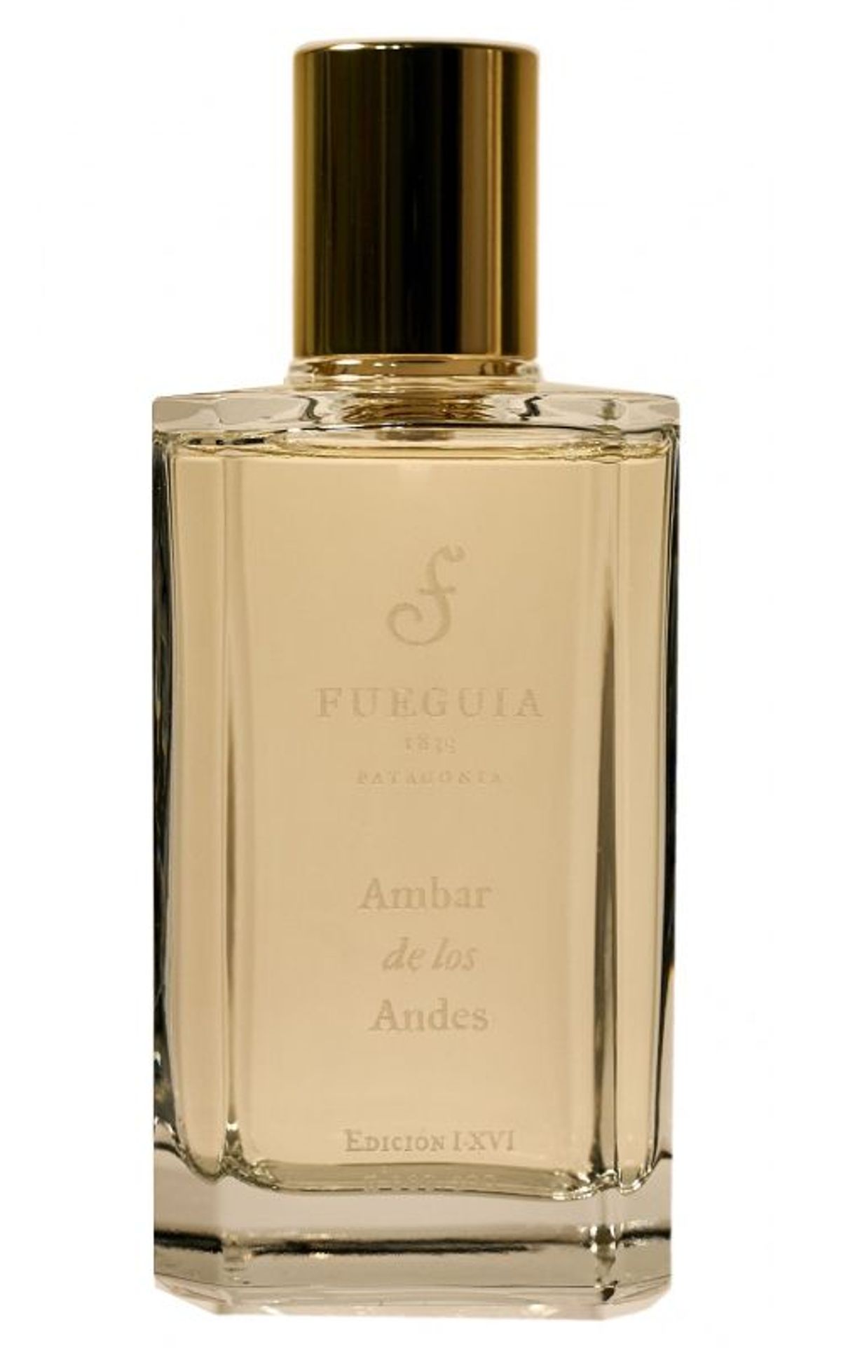Ambar de los Andes