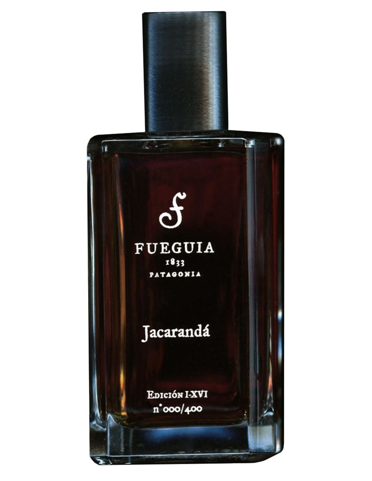 Jacarandá 2016 Edition