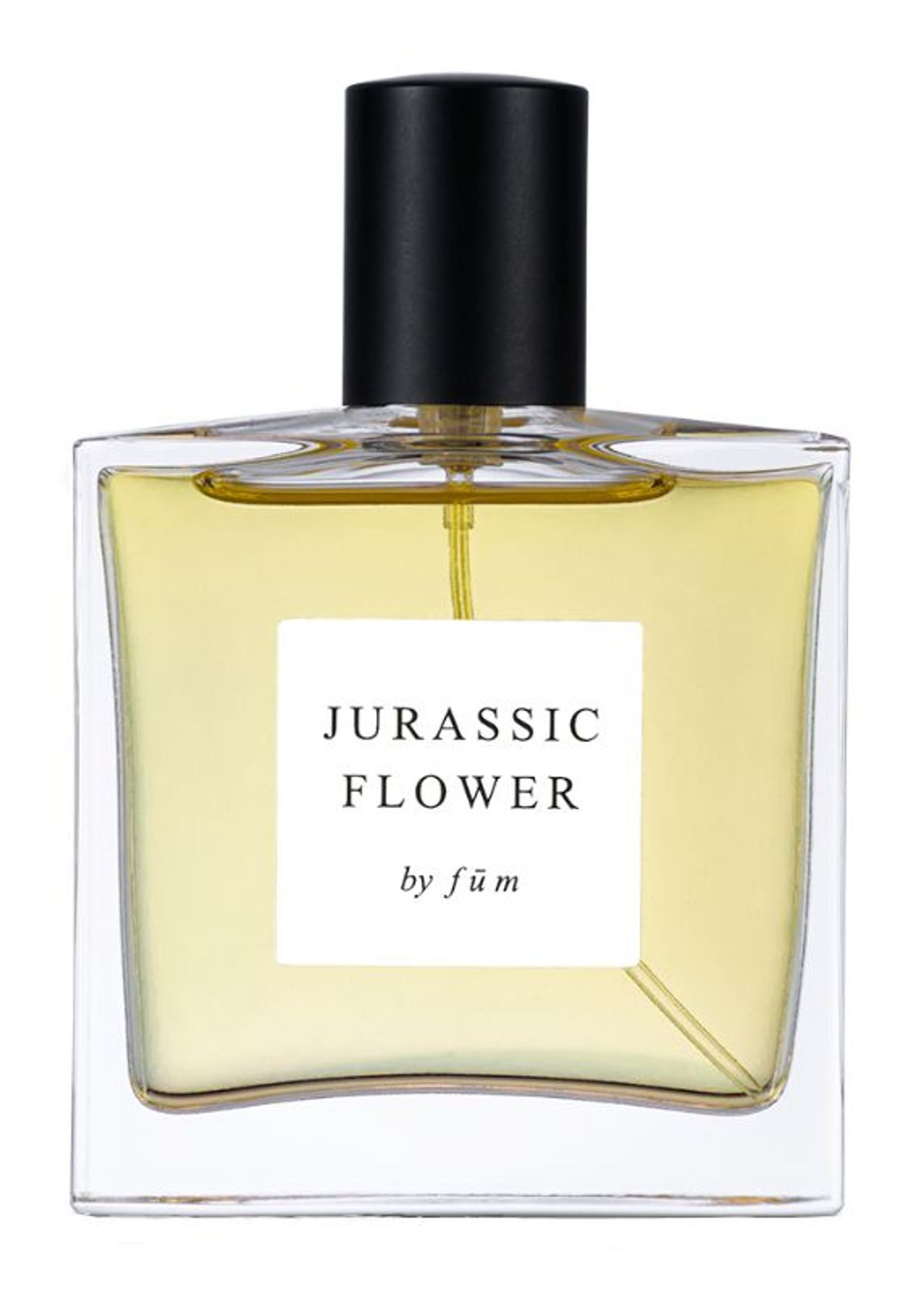 Jurassic Flower