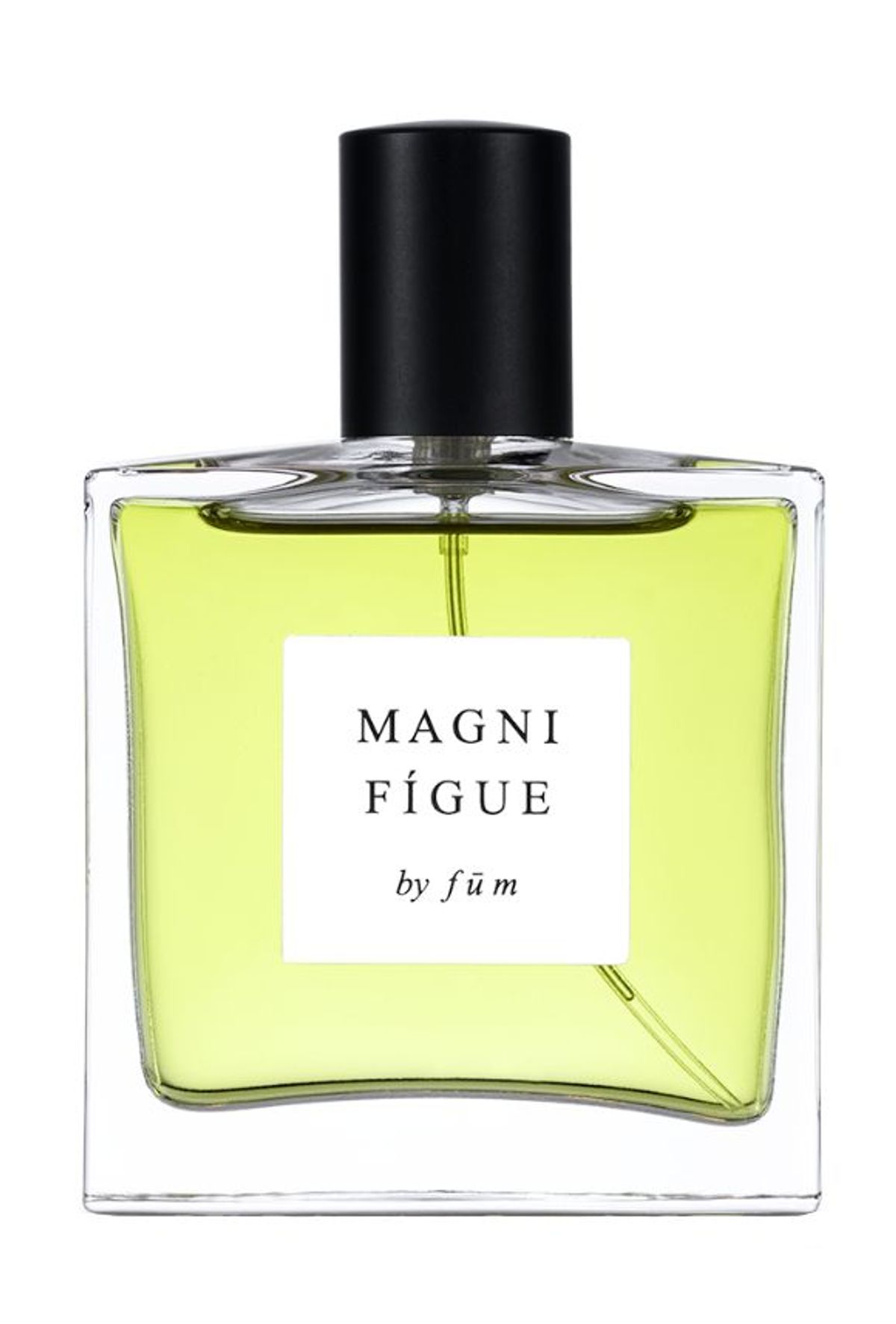 Magnifígue