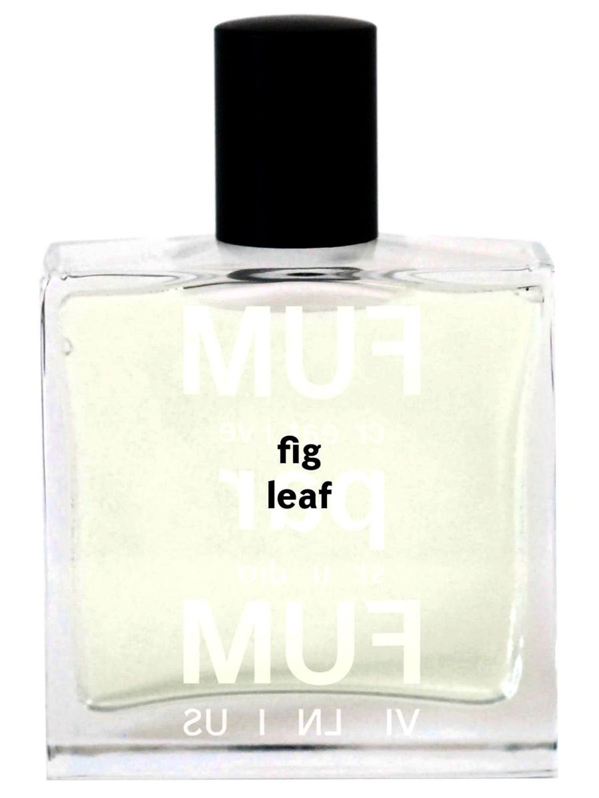 Fig Leaf