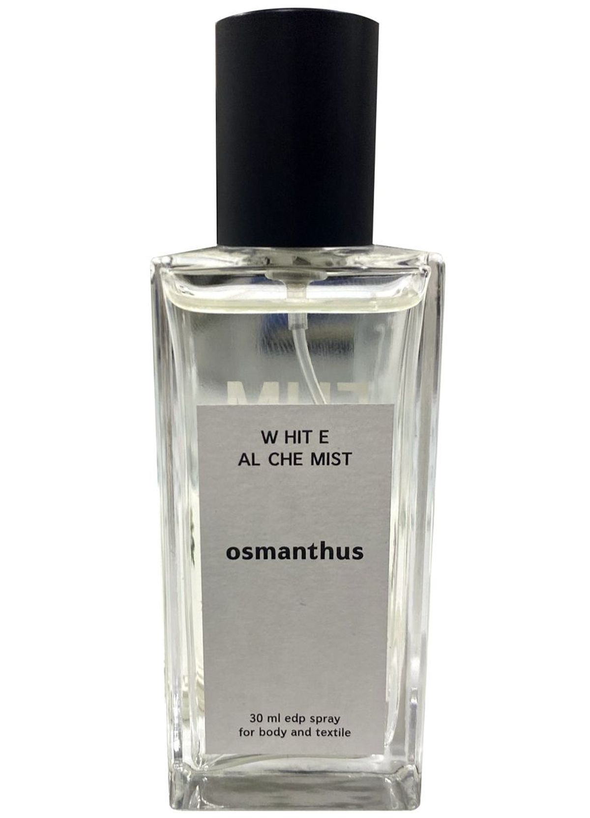 Osmanthus