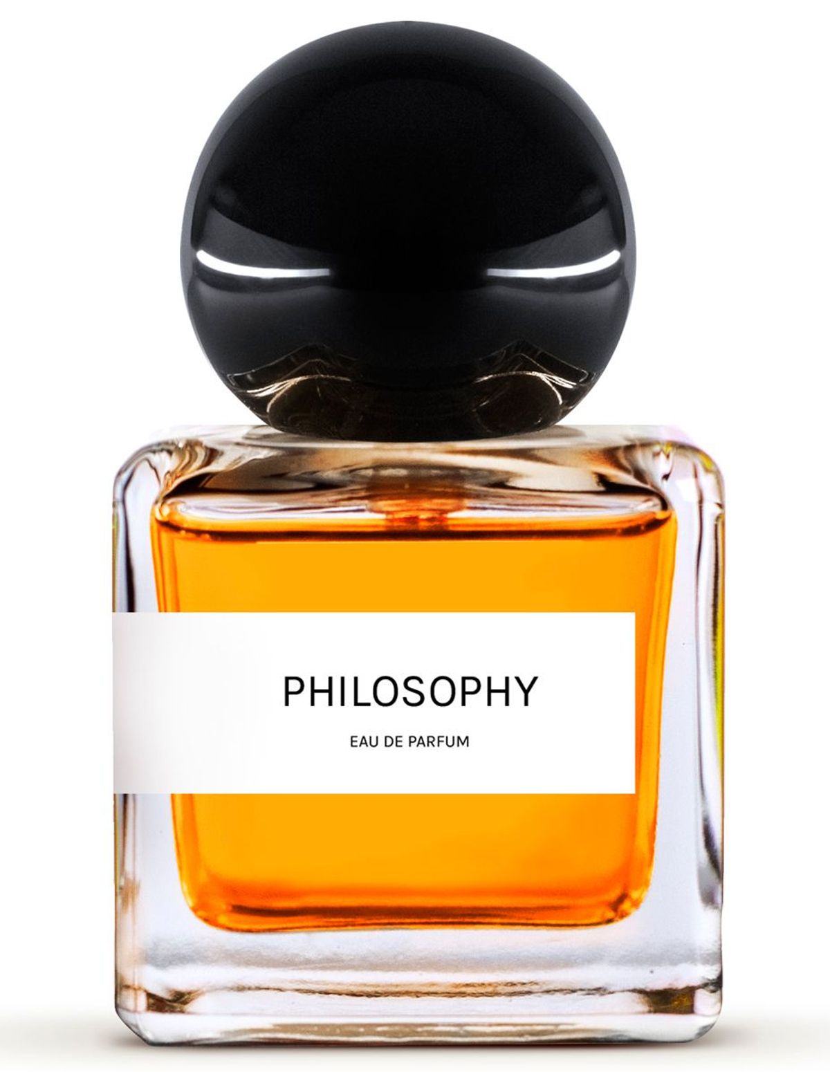 Philosophy