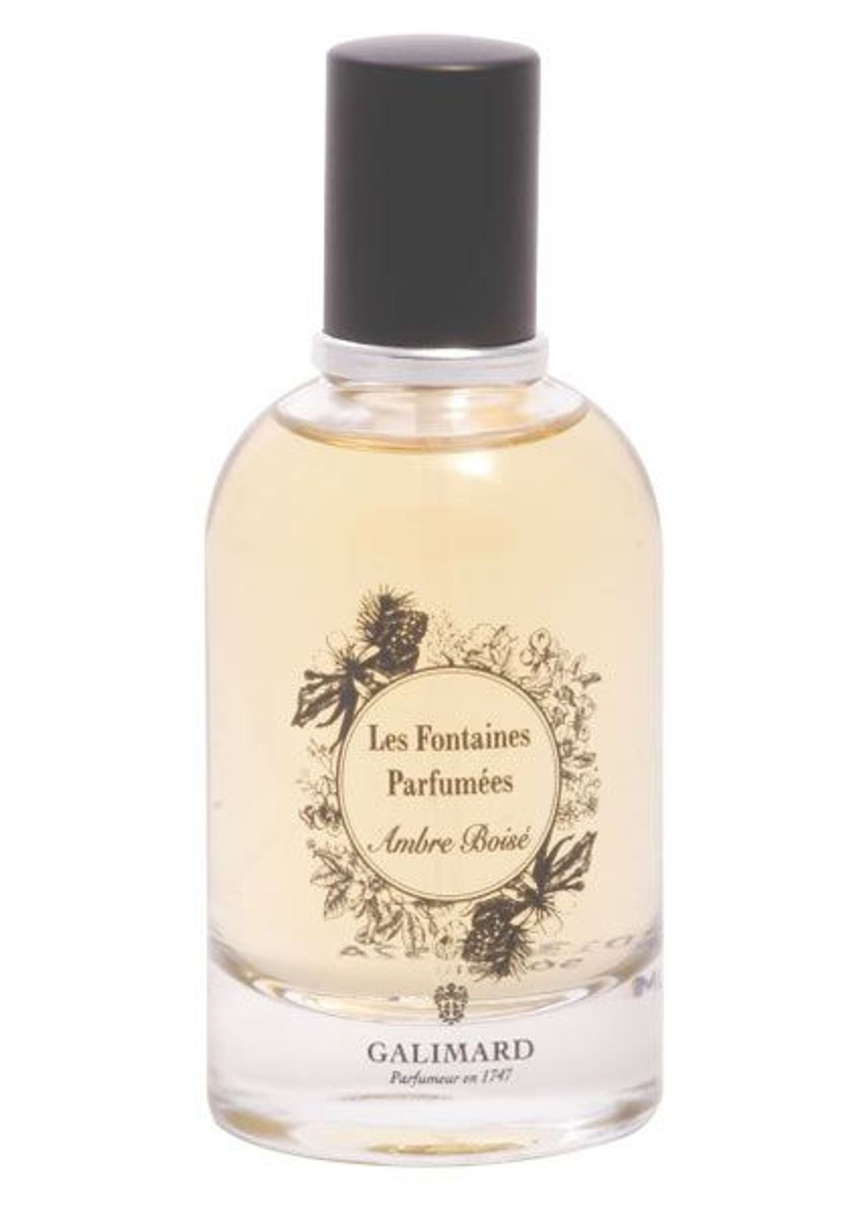 Ambre Boise