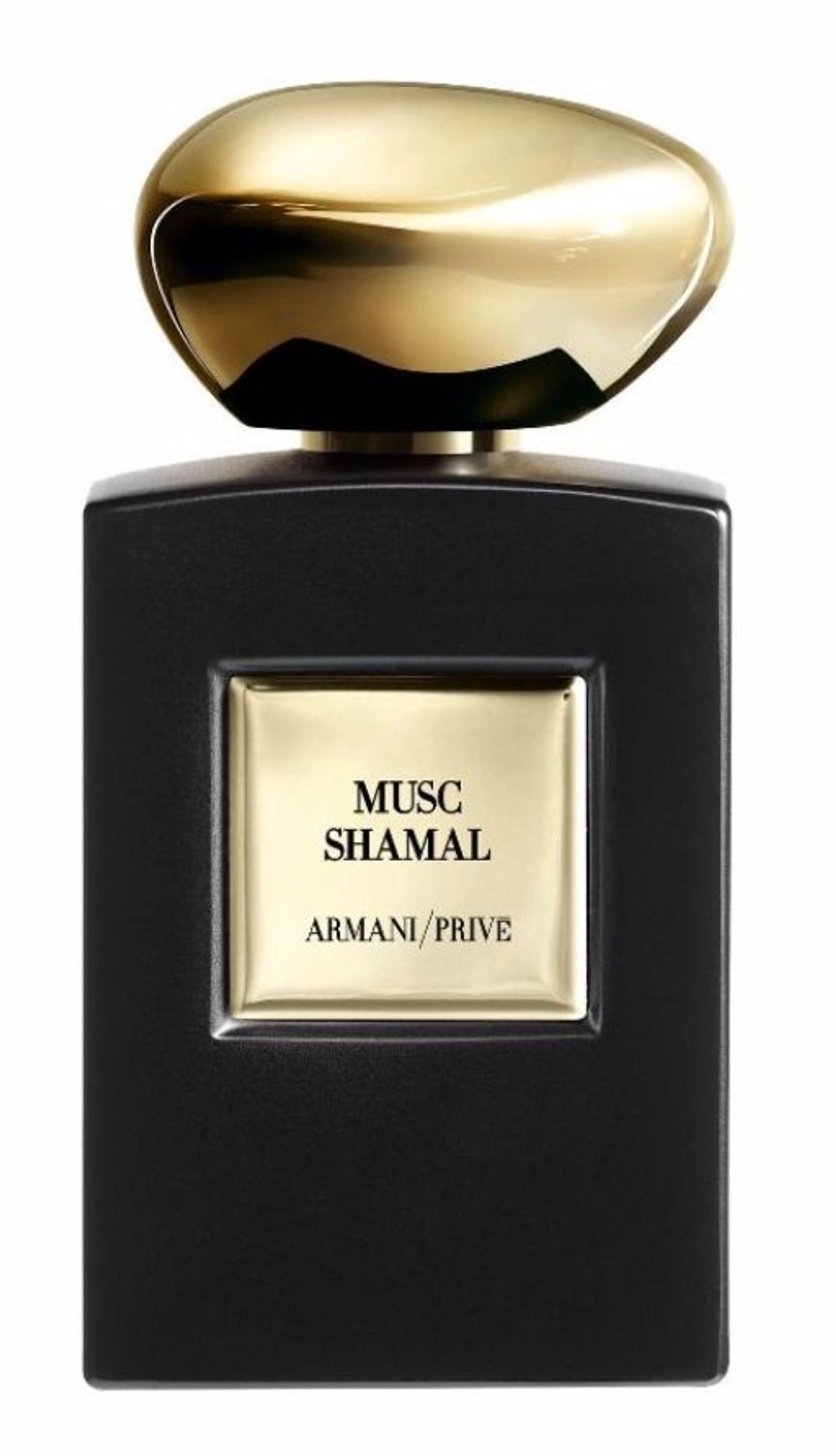 Musc Shamal