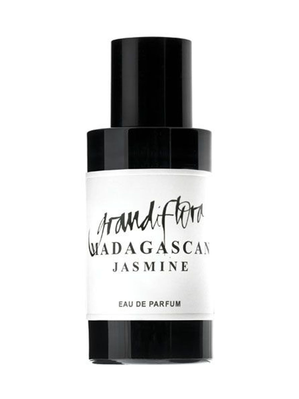 Madagascan Jasmine