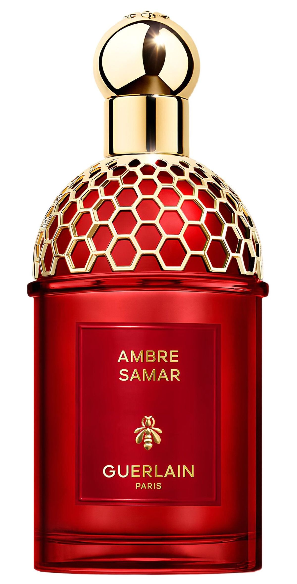 Ambre Samar