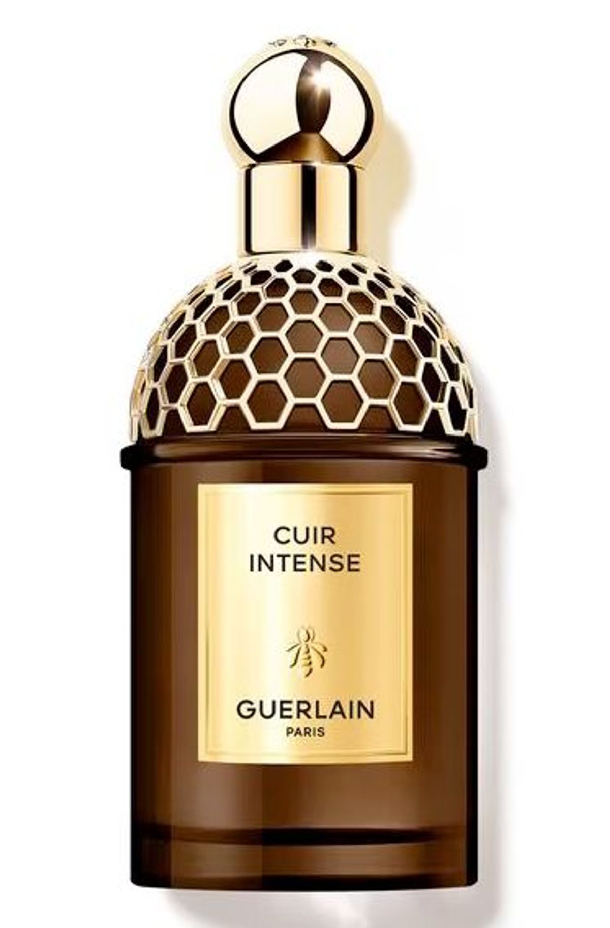 Cuir Intense